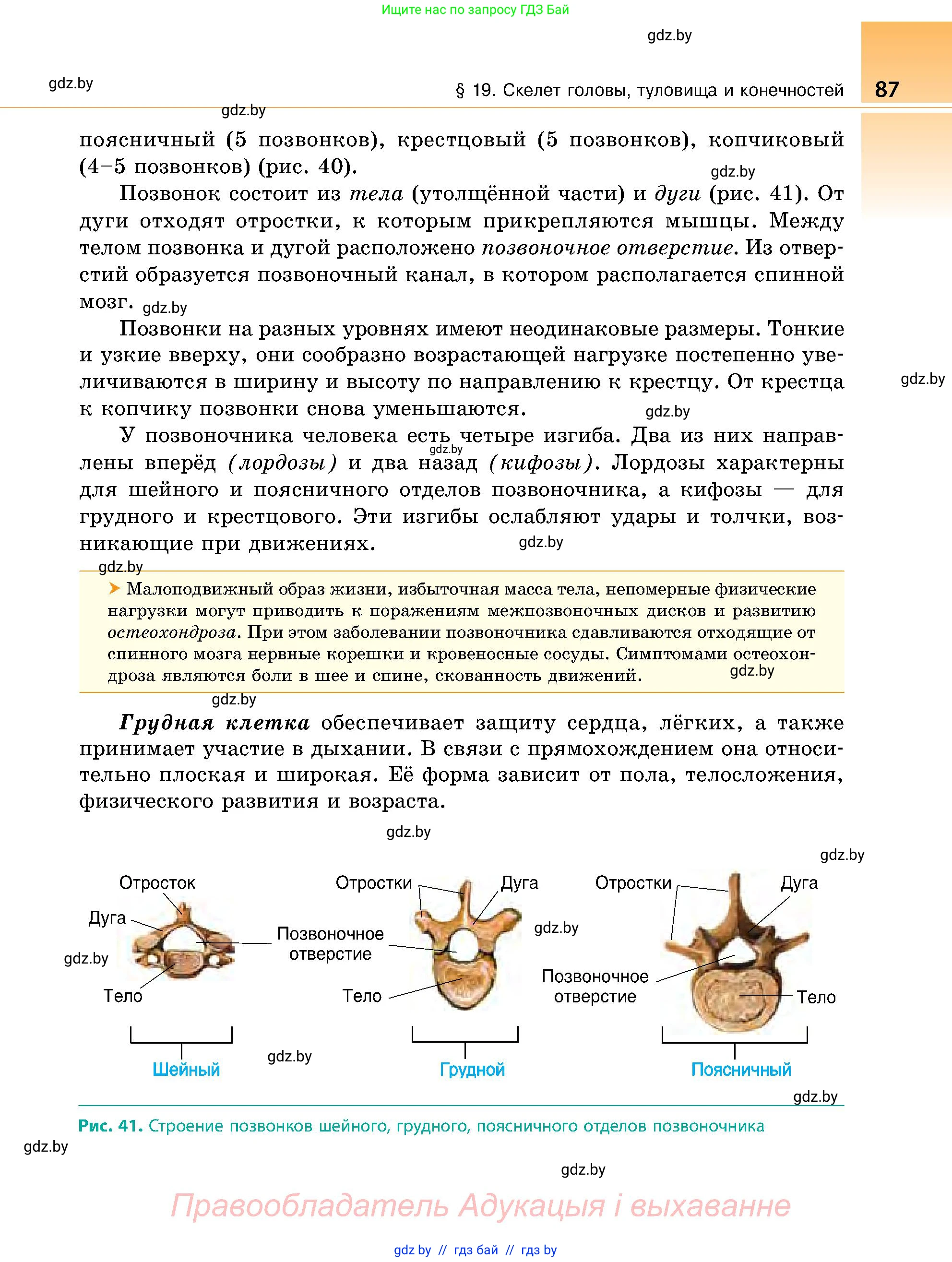 Биология, 9 класс Учебник, авторы: Борисов Олег Леонидович, Антипенко Алеся Анатольевна, Рогожников Олег Николаевич, издательство Адукацыя i выхаванне, Минск, 2025, бирюзового цвета, страница 87