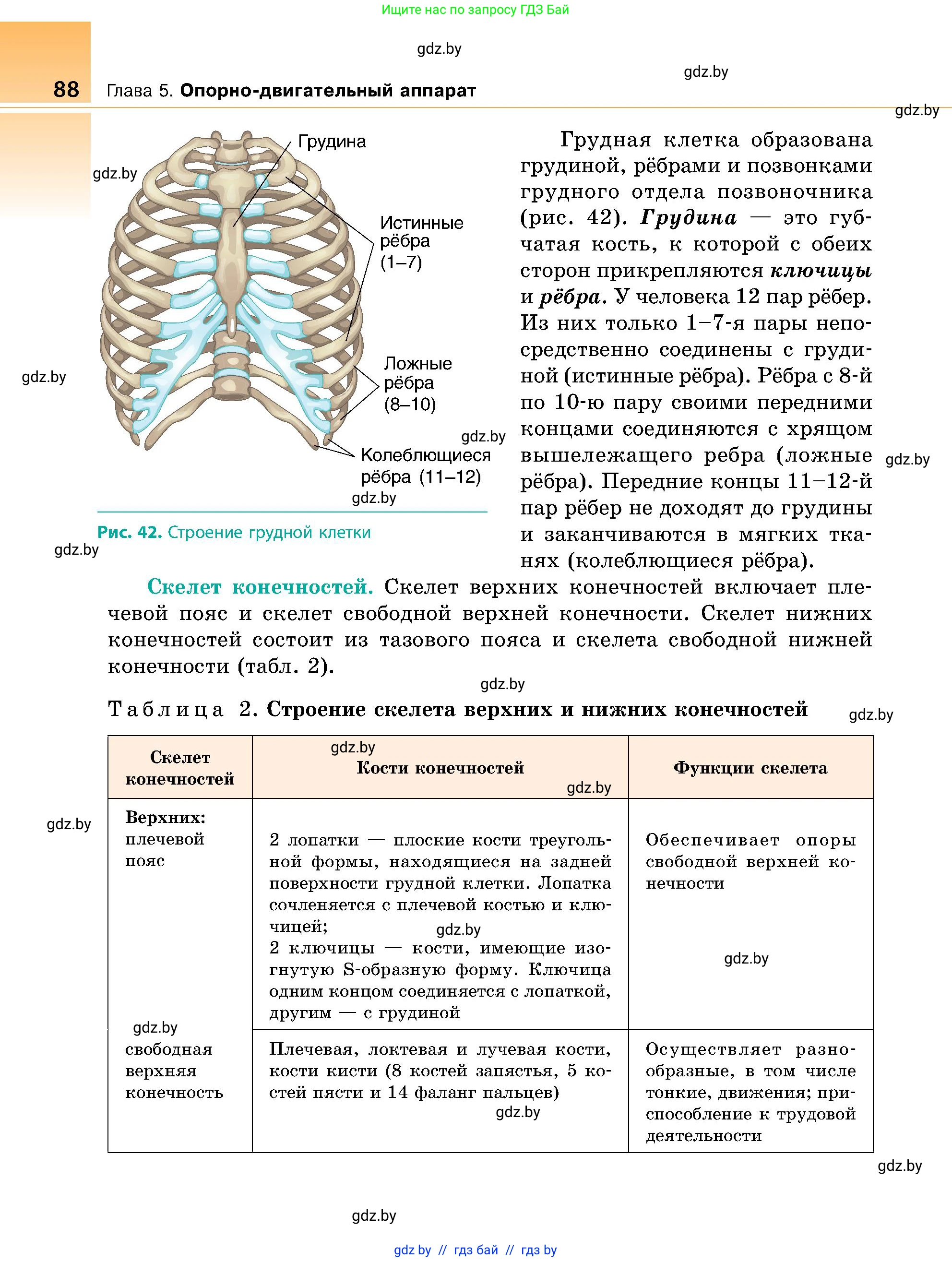 Биология, 9 класс Учебник, авторы: Борисов Олег Леонидович, Антипенко Алеся Анатольевна, Рогожников Олег Николаевич, издательство Адукацыя i выхаванне, Минск, 2025, бирюзового цвета, страница 88