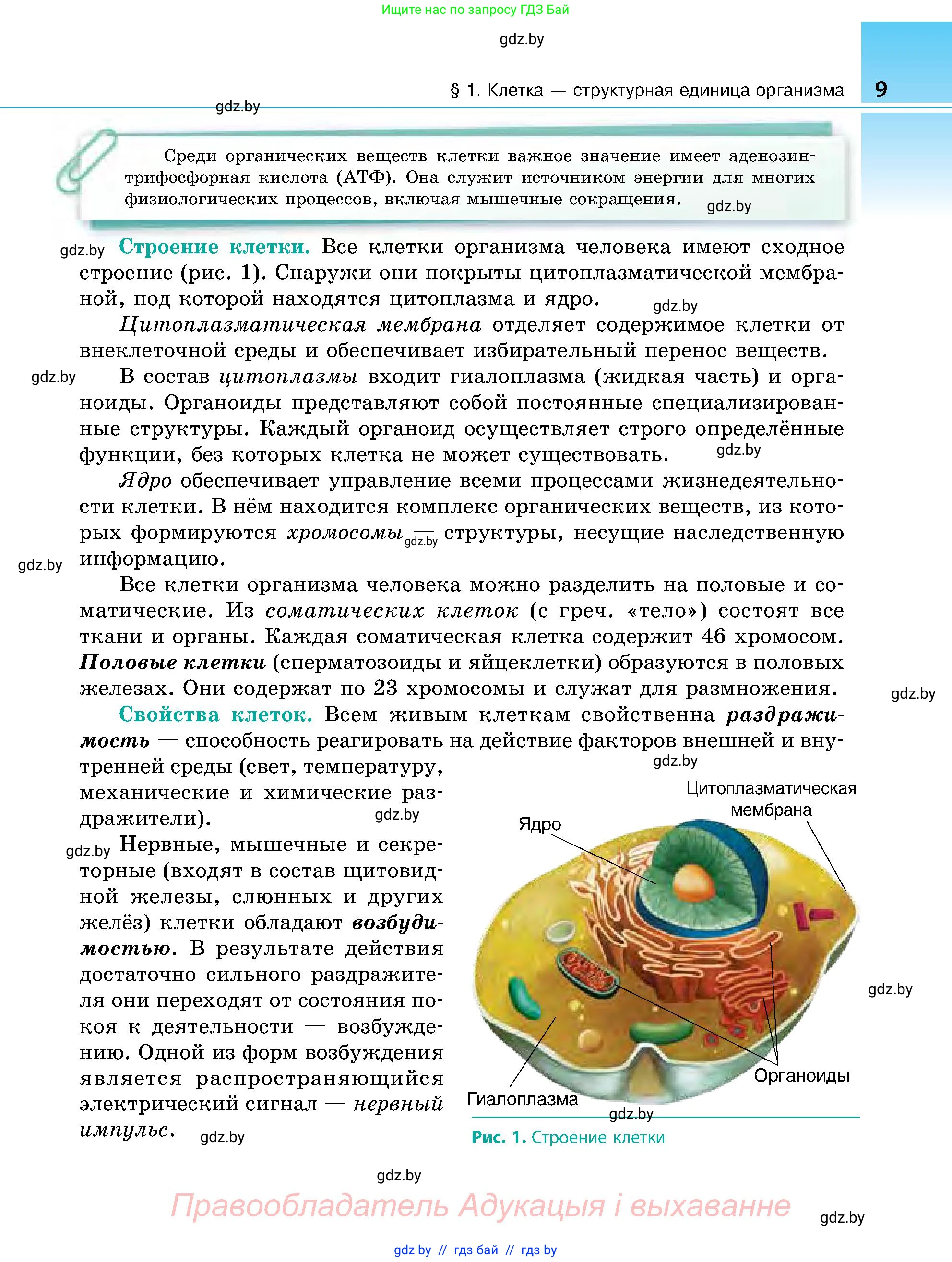 Биология, 9 класс Учебник, авторы: Борисов Олег Леонидович, Антипенко Алеся Анатольевна, Рогожников Олег Николаевич, издательство Адукацыя i выхаванне, Минск, 2025, бирюзового цвета, страница 9