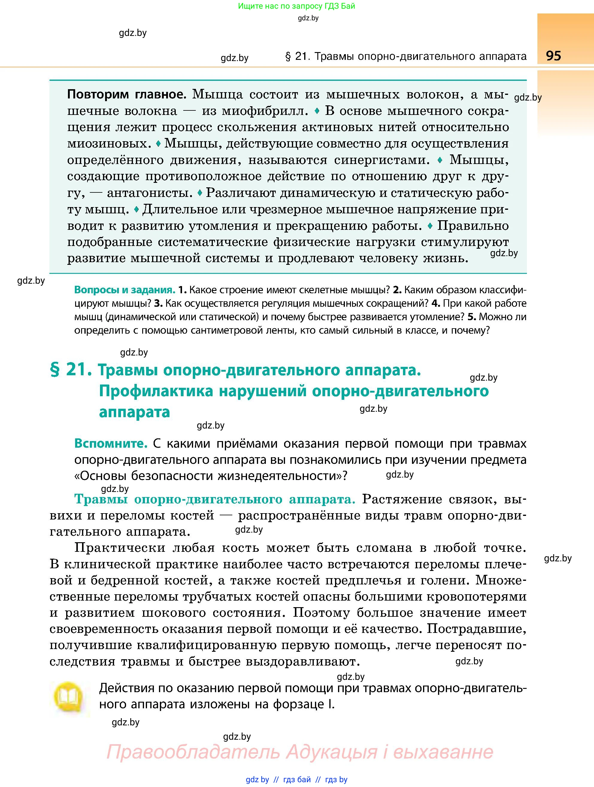 Биология, 9 класс Учебник, авторы: Борисов Олег Леонидович, Антипенко Алеся Анатольевна, Рогожников Олег Николаевич, издательство Адукацыя i выхаванне, Минск, 2025, бирюзового цвета, страница 95