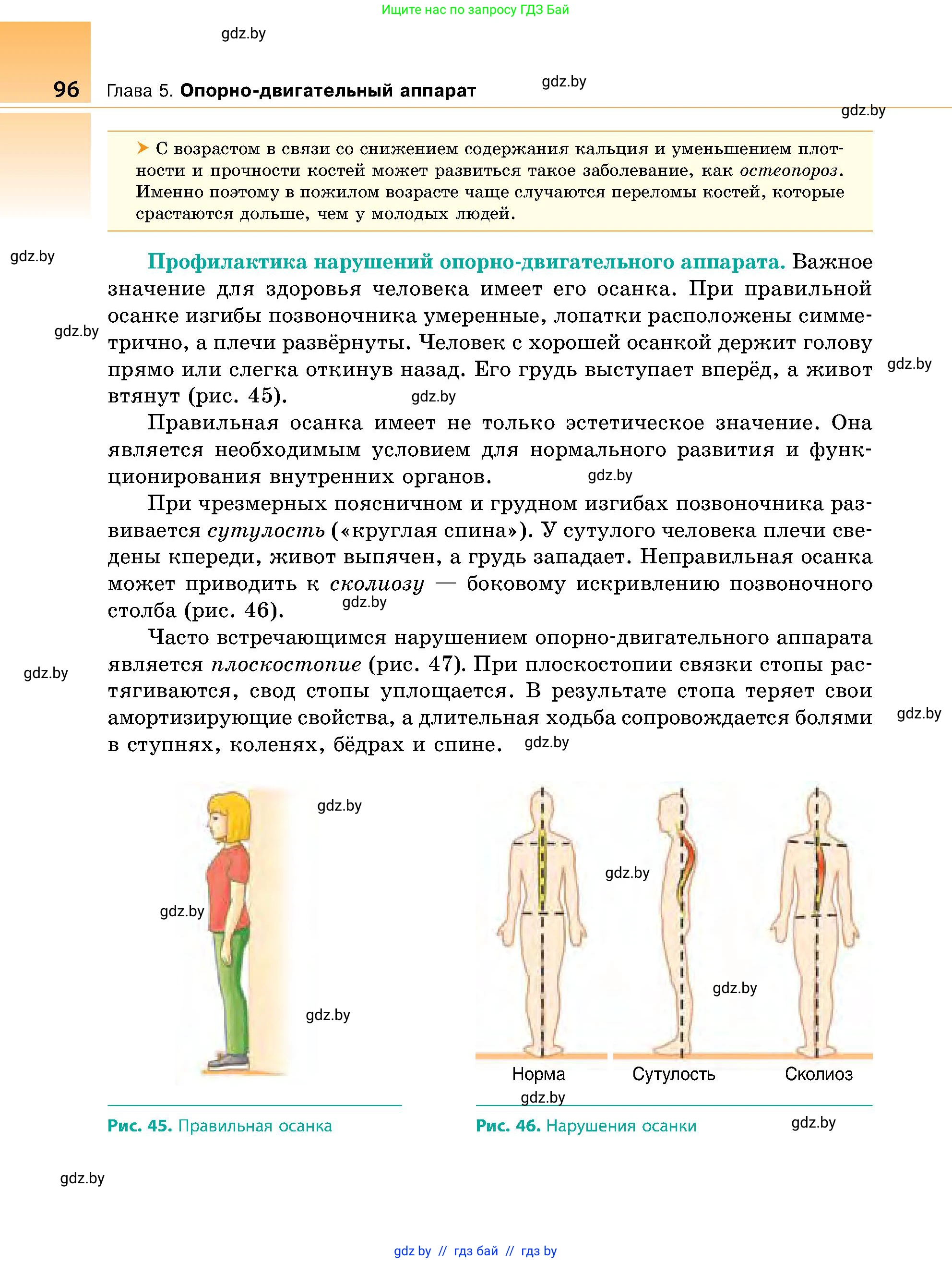 Биология, 9 класс Учебник, авторы: Борисов Олег Леонидович, Антипенко Алеся Анатольевна, Рогожников Олег Николаевич, издательство Адукацыя i выхаванне, Минск, 2025, бирюзового цвета, страница 96