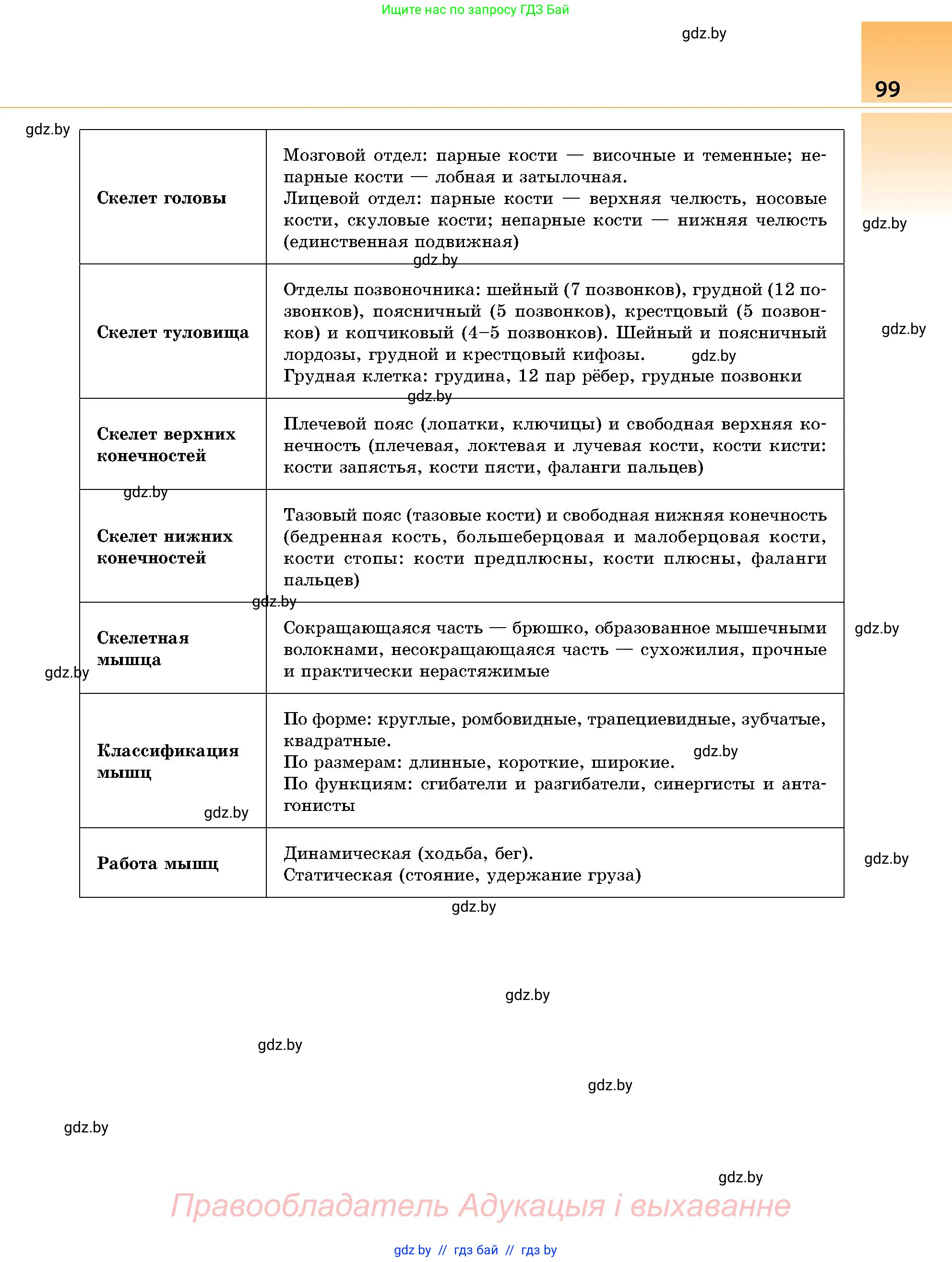 Биология, 9 класс Учебник, авторы: Борисов Олег Леонидович, Антипенко Алеся Анатольевна, Рогожников Олег Николаевич, издательство Адукацыя i выхаванне, Минск, 2025, бирюзового цвета, страница 99