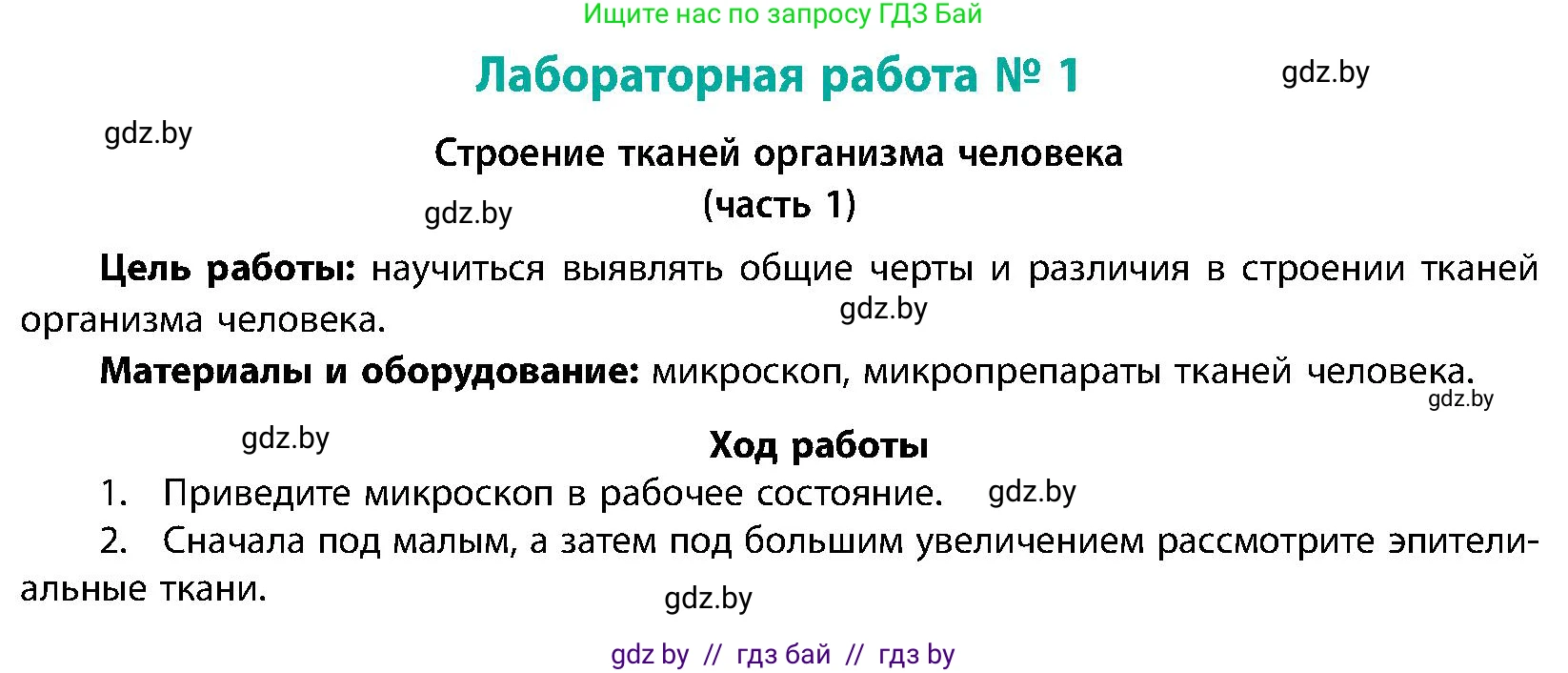 Биология, 9 класс Учебник, авторы: Борисов Олег Леонидович, Антипенко Алеся Анатольевна, Рогожников Олег Николаевич, издательство Адукацыя i выхаванне, Минск, 2025, бирюзового цвета, страница 13, Условие