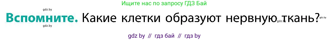 Биология, 9 класс Учебник, авторы: Борисов Олег Леонидович, Антипенко Алеся Анатольевна, Рогожников Олег Николаевич, издательство Адукацыя i выхаванне, Минск, 2025, бирюзового цвета, страница 26, Условие