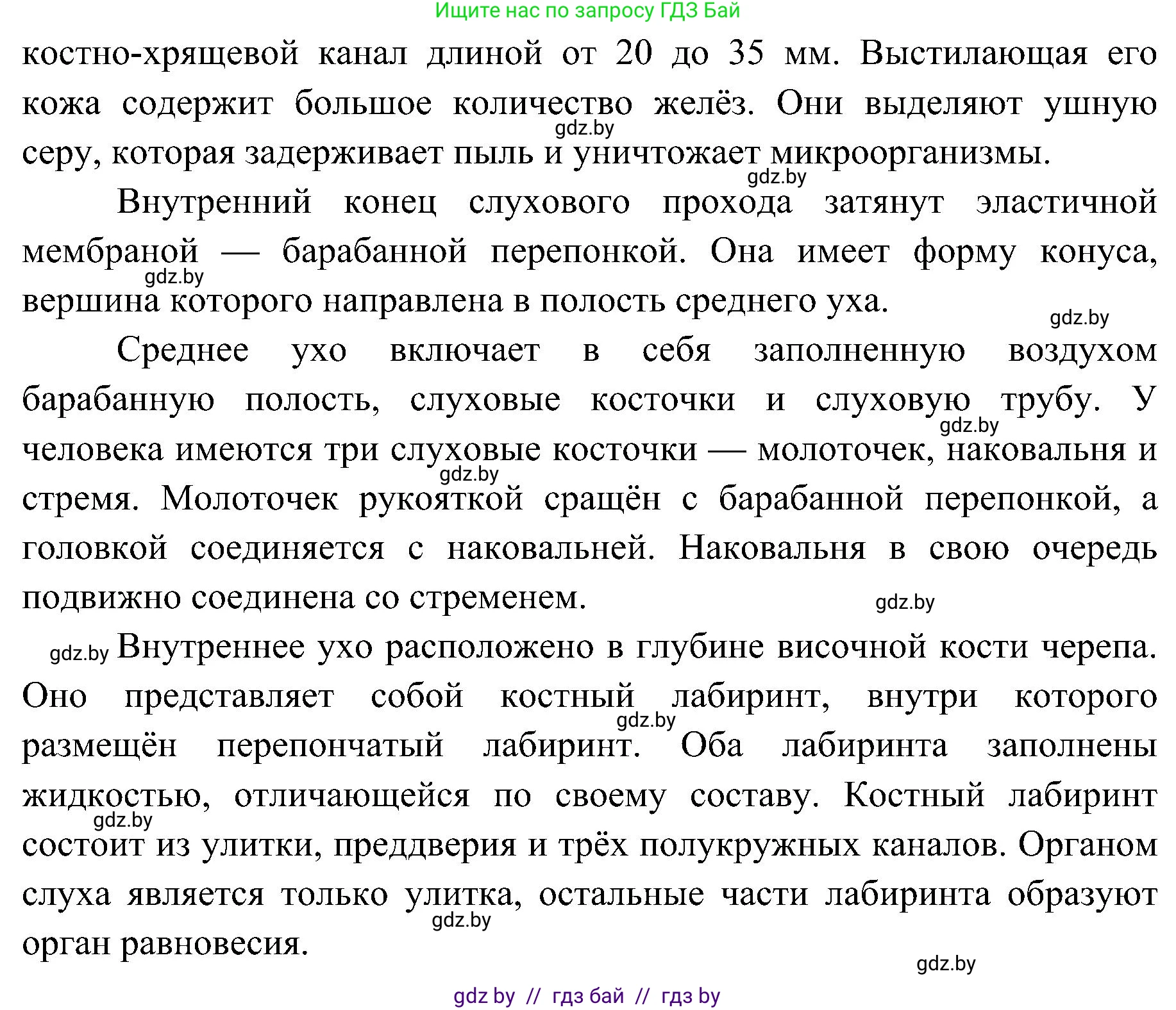 Биология, 9 класс Учебник, авторы: Борисов Олег Леонидович, Антипенко Алеся Анатольевна, Рогожников Олег Николаевич, издательство Адукацыя i выхаванне, Минск, 2025, бирюзового цвета, страница 62, номер 2, Решение 1 (продолжение 2)