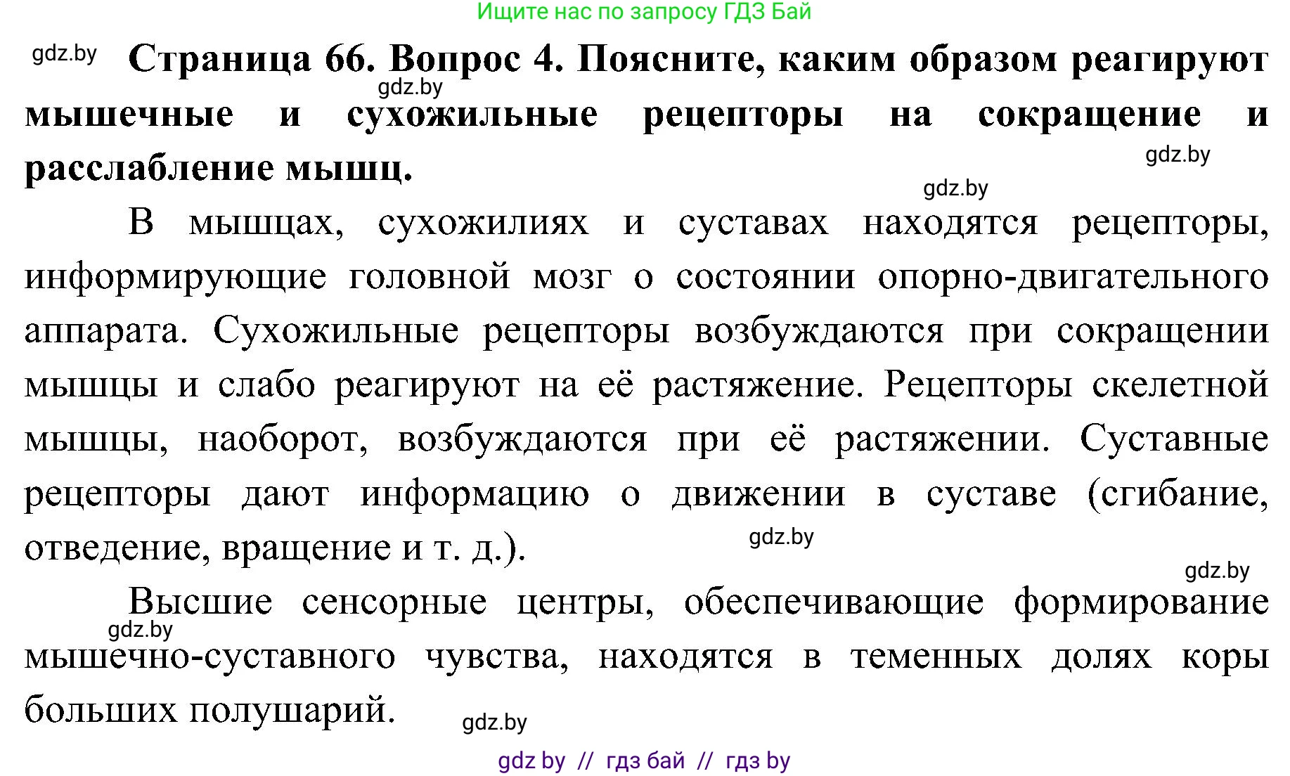 Биология, 9 класс Учебник, авторы: Борисов Олег Леонидович, Антипенко Алеся Анатольевна, Рогожников Олег Николаевич, издательство Адукацыя i выхаванне, Минск, 2025, бирюзового цвета, страница 66, номер 4, Решение 1