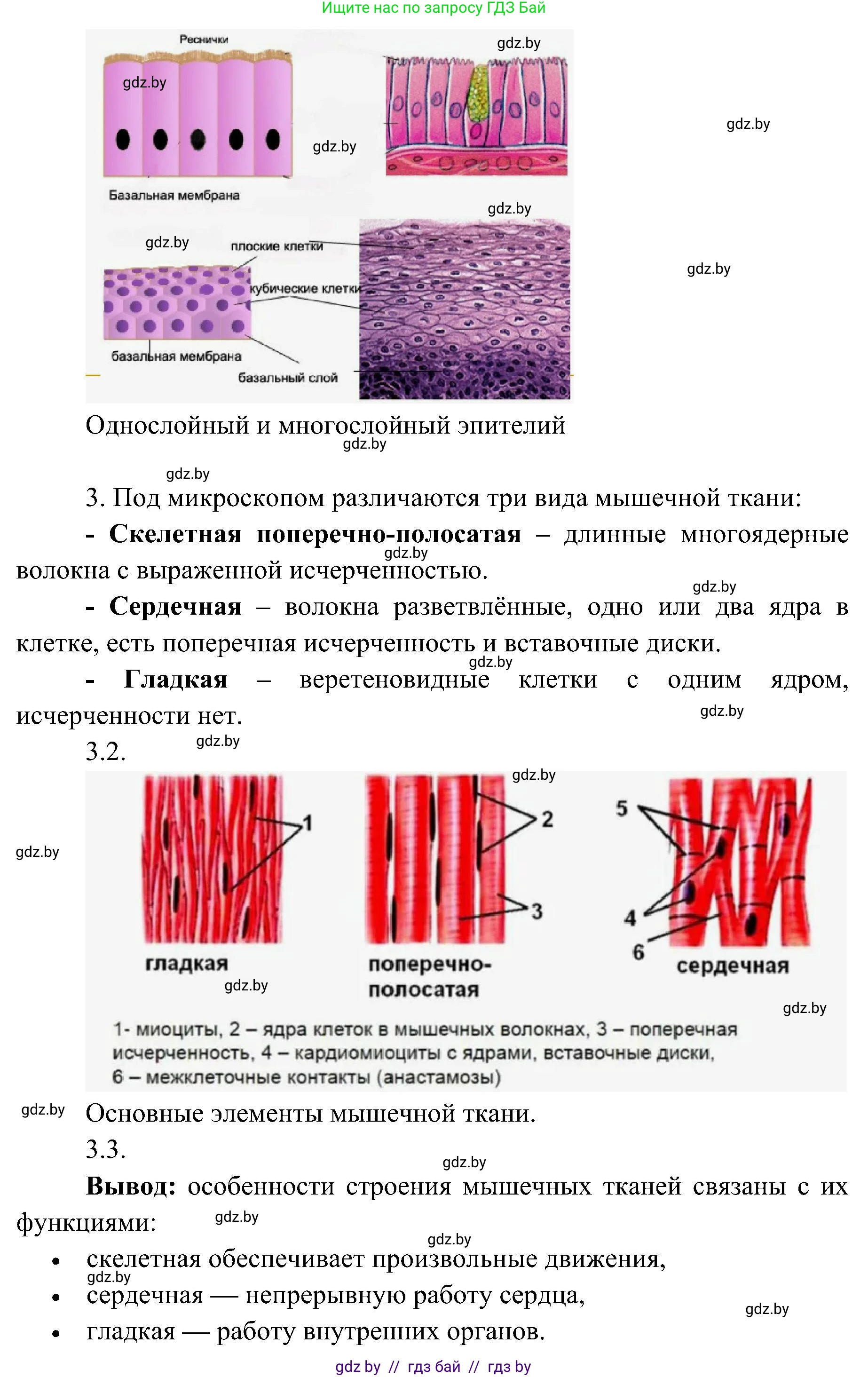 Биология, 9 класс Учебник, авторы: Борисов Олег Леонидович, Антипенко Алеся Анатольевна, Рогожников Олег Николаевич, издательство Адукацыя i выхаванне, Минск, 2025, бирюзового цвета, страница 13, Решение 1 (продолжение 2)