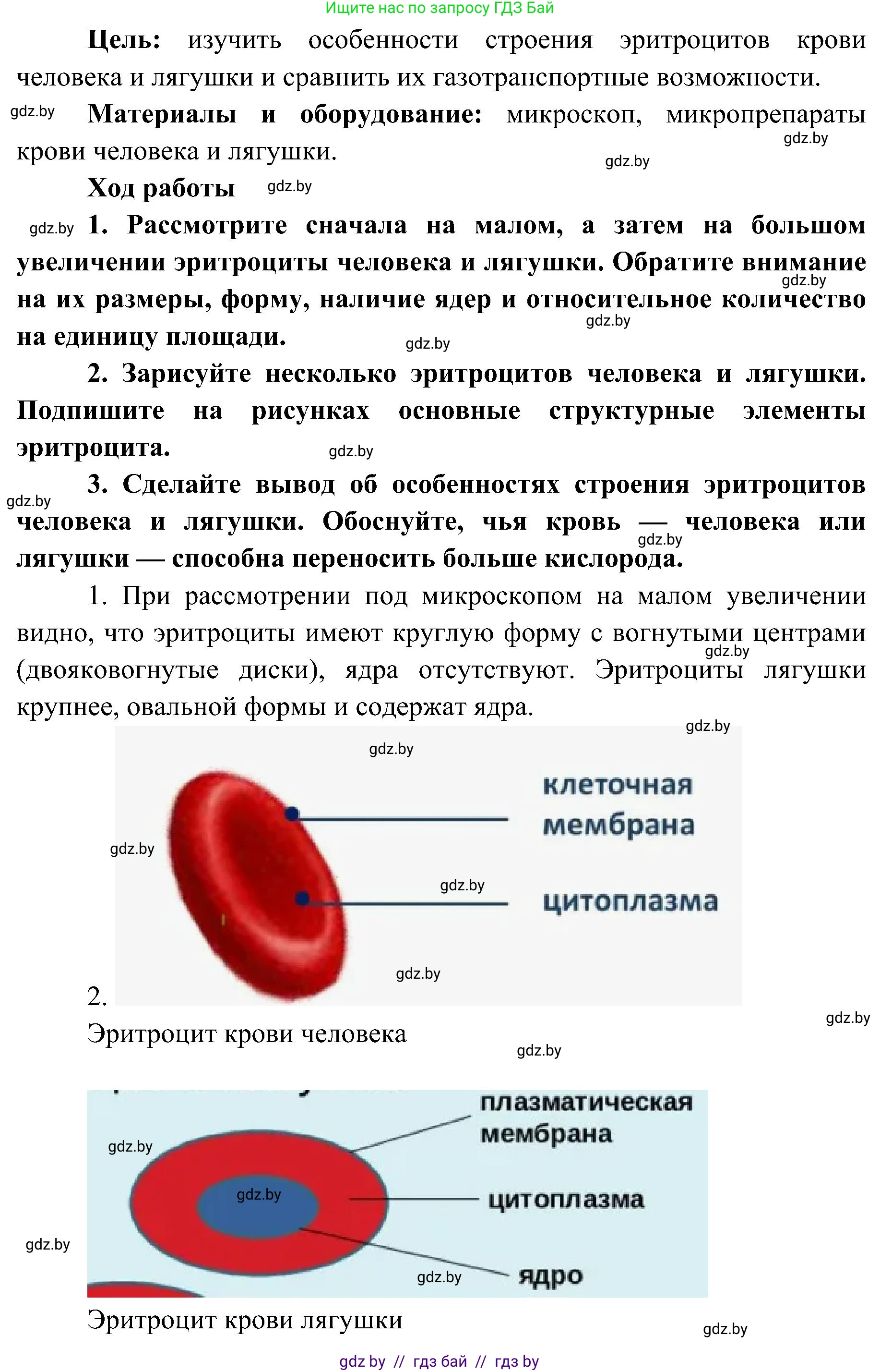 Биология, 9 класс Учебник, авторы: Борисов Олег Леонидович, Антипенко Алеся Анатольевна, Рогожников Олег Николаевич, издательство Адукацыя i выхаванне, Минск, 2025, бирюзового цвета, страница 106, Решение 1 (продолжение 2)