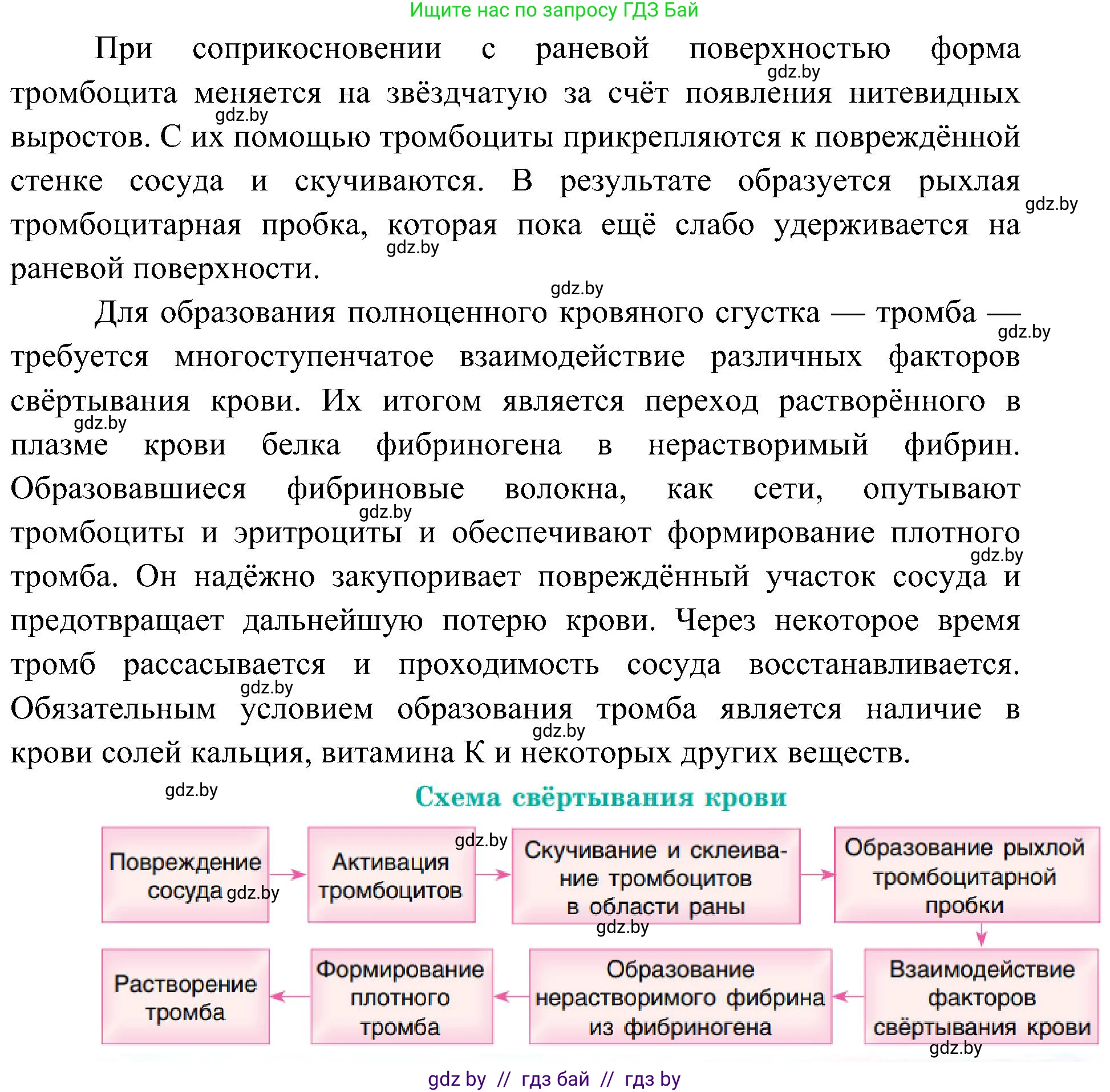 Биология, 9 класс Учебник, авторы: Борисов Олег Леонидович, Антипенко Алеся Анатольевна, Рогожников Олег Николаевич, издательство Адукацыя i выхаванне, Минск, 2025, бирюзового цвета, страница 108, номер 2, Решение 1 (продолжение 2)
