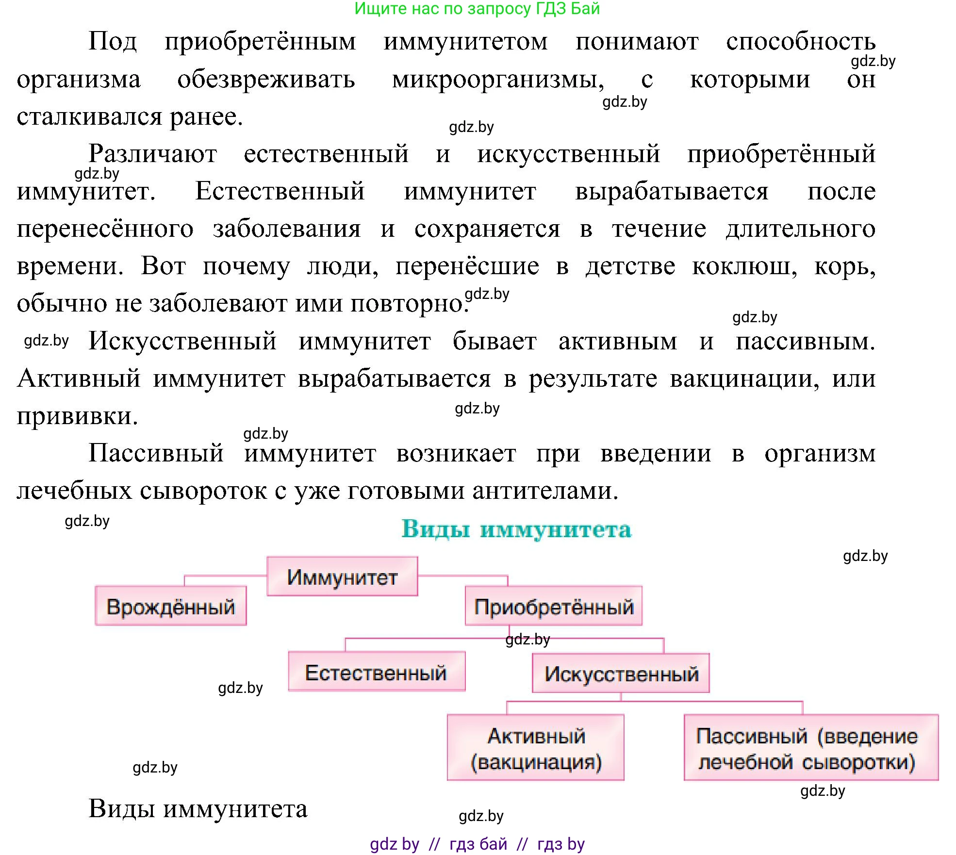 Биология, 9 класс Учебник, авторы: Борисов Олег Леонидович, Антипенко Алеся Анатольевна, Рогожников Олег Николаевич, издательство Адукацыя i выхаванне, Минск, 2025, бирюзового цвета, страница 113, номер 4, Решение 1 (продолжение 2)