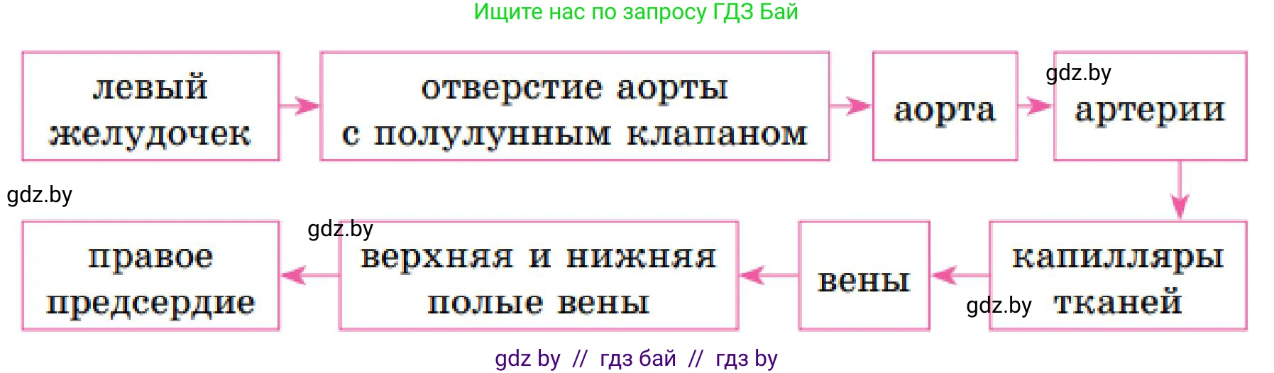 Биология, 9 класс Учебник, авторы: Борисов Олег Леонидович, Антипенко Алеся Анатольевна, Рогожников Олег Николаевич, издательство Адукацыя i выхаванне, Минск, 2025, бирюзового цвета, страница 125, номер 1, Решение 1 (продолжение 2)