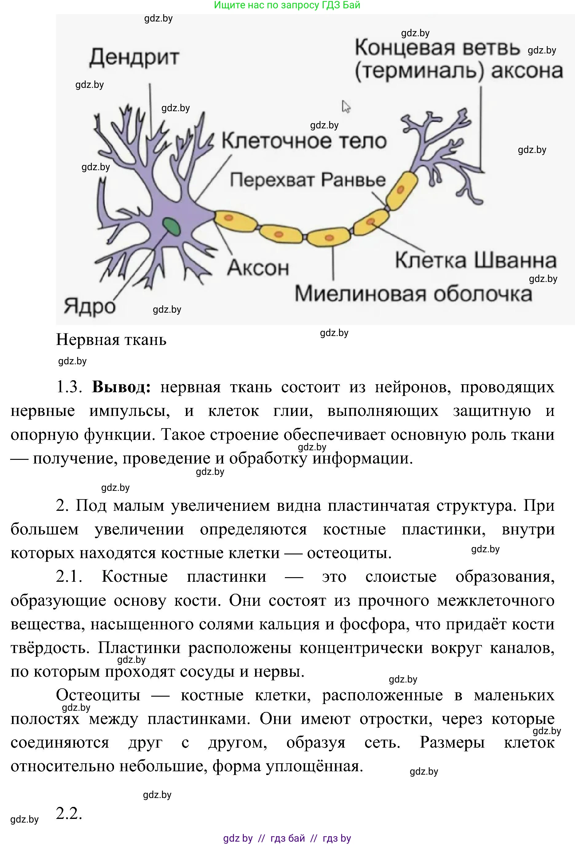 Биология, 9 класс Учебник, авторы: Борисов Олег Леонидович, Антипенко Алеся Анатольевна, Рогожников Олег Николаевич, издательство Адукацыя i выхаванне, Минск, 2025, бирюзового цвета, страница 18, Решение 1 (продолжение 3)