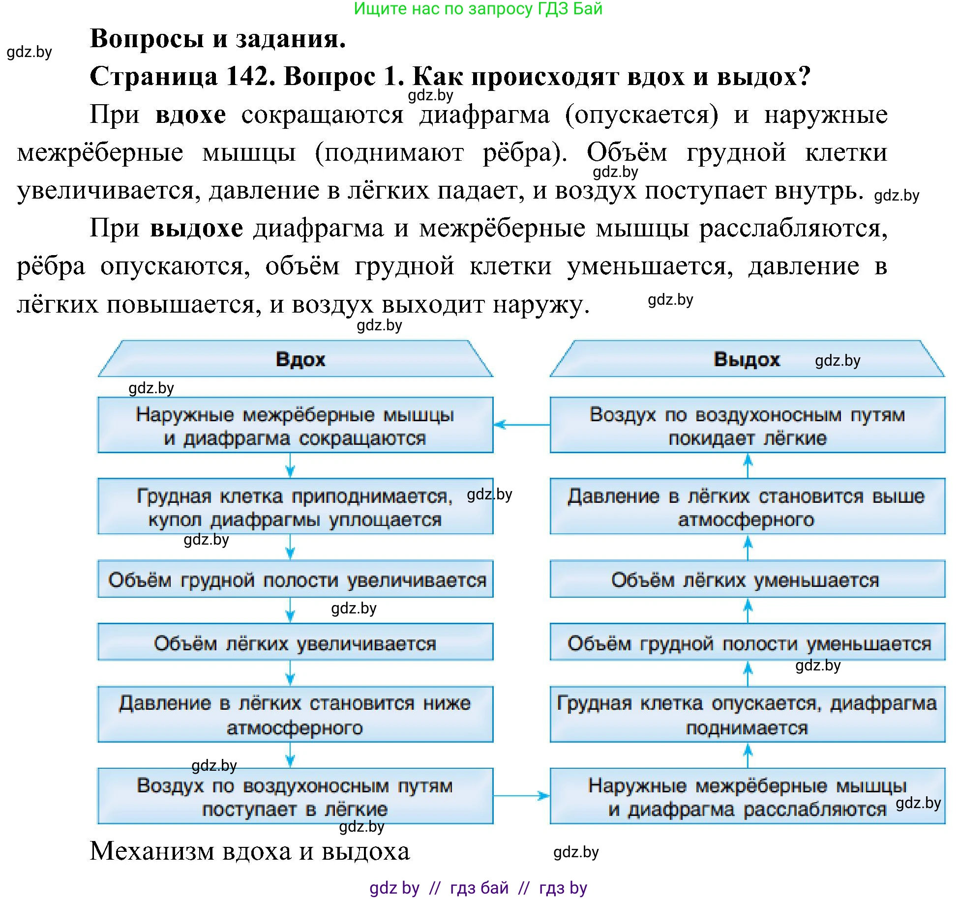 Биология, 9 класс Учебник, авторы: Борисов Олег Леонидович, Антипенко Алеся Анатольевна, Рогожников Олег Николаевич, издательство Адукацыя i выхаванне, Минск, 2025, бирюзового цвета, страница 142, номер 1, Решение 1