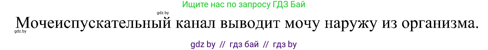 Биология, 9 класс Учебник, авторы: Борисов Олег Леонидович, Антипенко Алеся Анатольевна, Рогожников Олег Николаевич, издательство Адукацыя i выхаванне, Минск, 2025, бирюзового цвета, страница 175, номер 2, Решение 1 (продолжение 2)