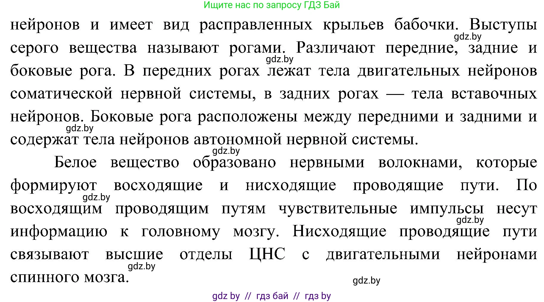Биология, 9 класс Учебник, авторы: Борисов Олег Леонидович, Антипенко Алеся Анатольевна, Рогожников Олег Николаевич, издательство Адукацыя i выхаванне, Минск, 2025, бирюзового цвета, страница 33, номер 2, Решение 1 (продолжение 2)