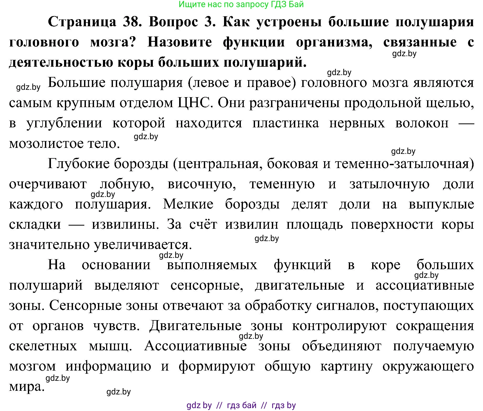 Биология, 9 класс Учебник, авторы: Борисов Олег Леонидович, Антипенко Алеся Анатольевна, Рогожников Олег Николаевич, издательство Адукацыя i выхаванне, Минск, 2025, бирюзового цвета, страница 38, номер 3, Решение 1