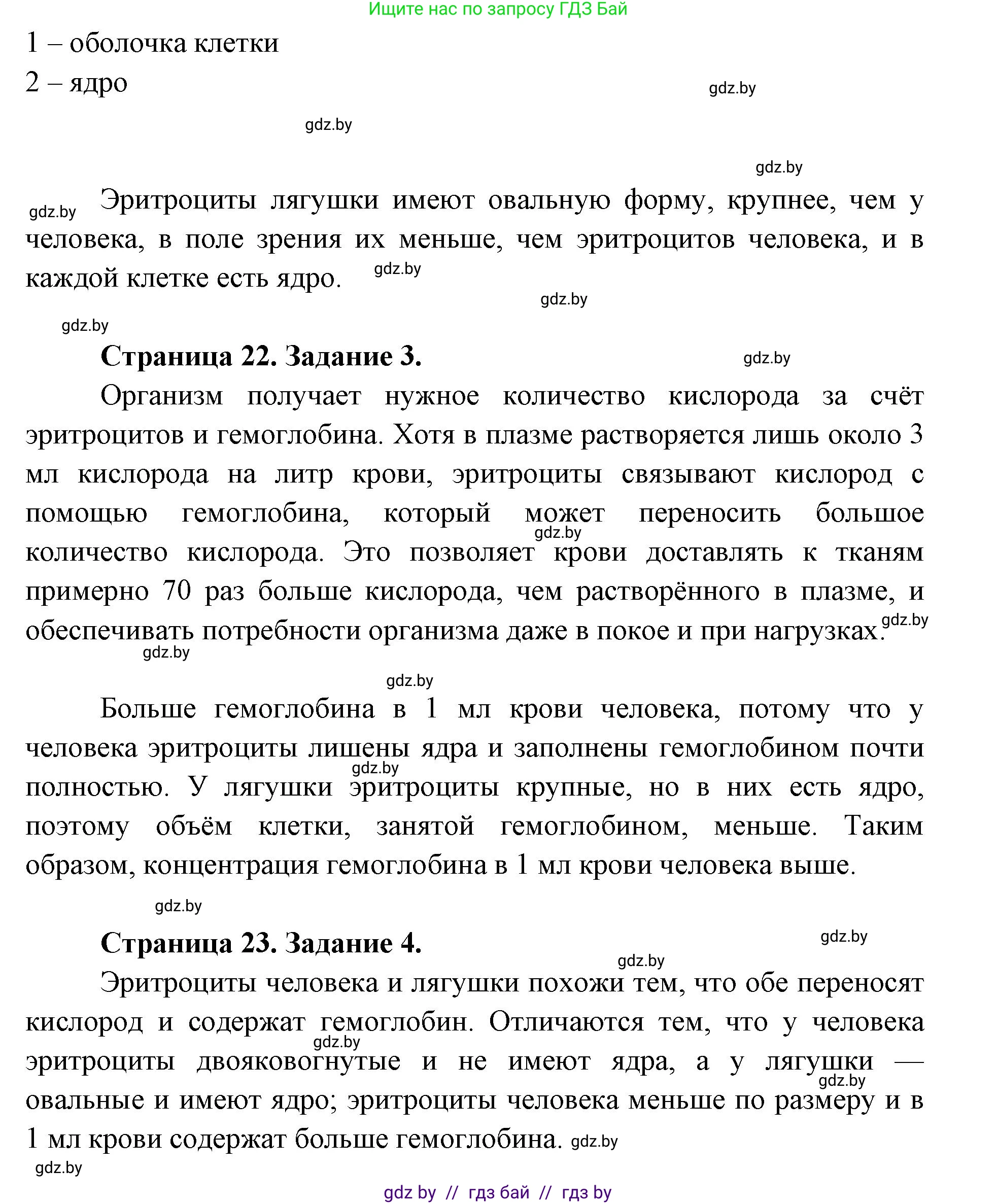 Биология, 9 класс Тетрадь для лабораторных и практических работ, автор: Лисов Николай Дмитриевич, издательство Аверсэв, Минск, 2025, оранжевого цвета, страница 20, Решение 2025 (продолжение 2)
