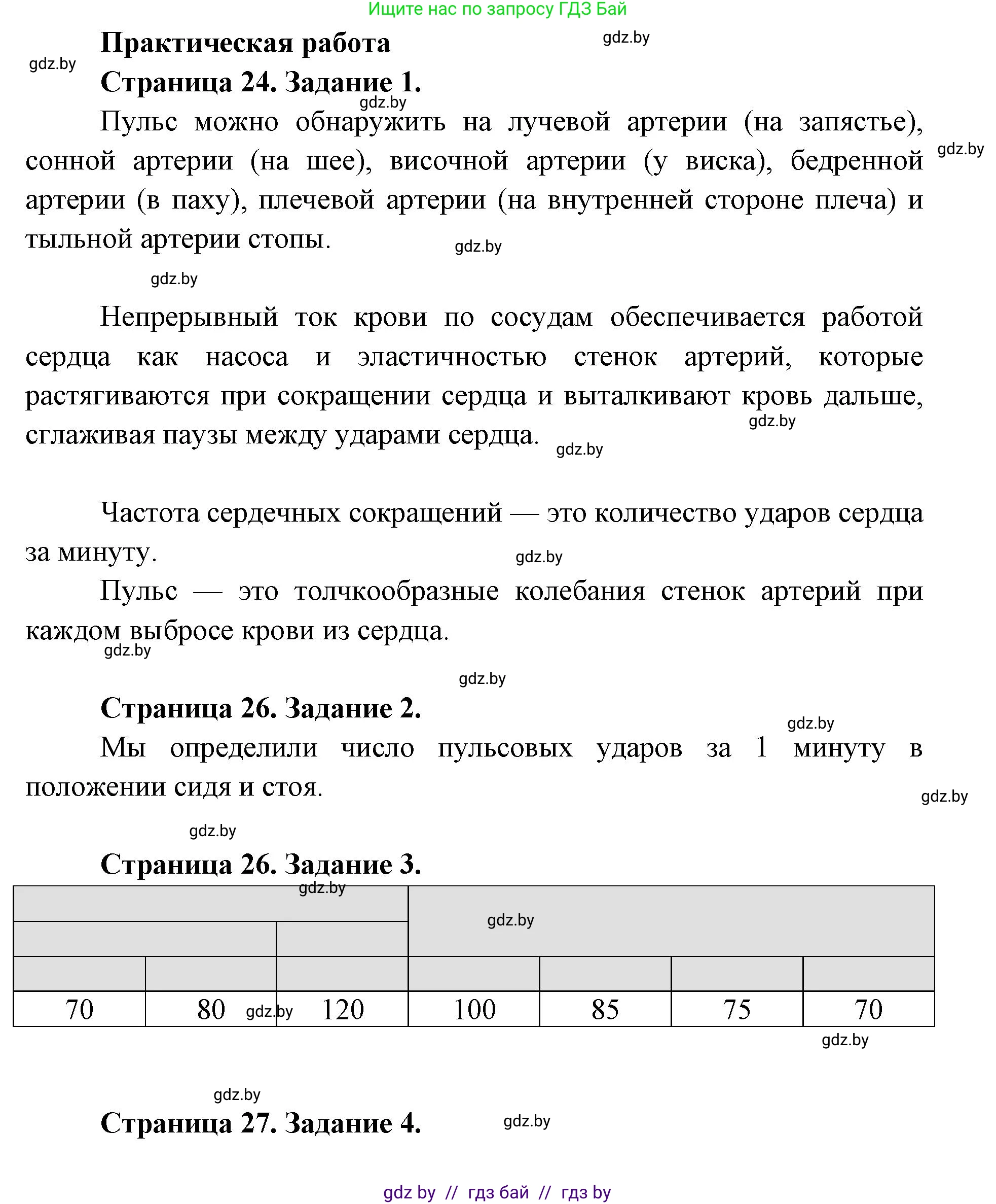 Биология, 9 класс Тетрадь для лабораторных и практических работ, автор: Лисов Николай Дмитриевич, издательство Аверсэв, Минск, 2025, оранжевого цвета, страница 24, Решение 2025