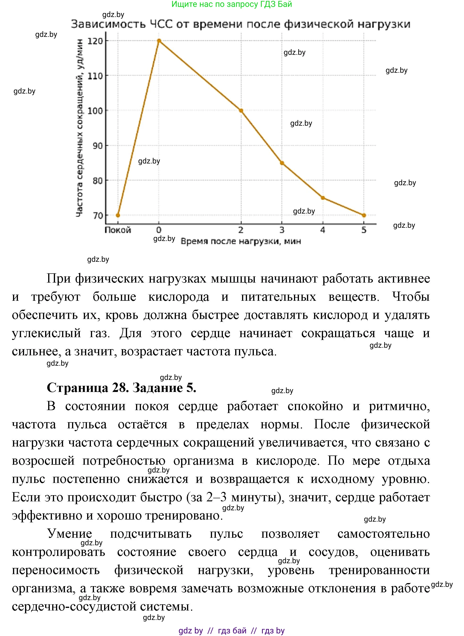 Биология, 9 класс Тетрадь для лабораторных и практических работ, автор: Лисов Николай Дмитриевич, издательство Аверсэв, Минск, 2025, оранжевого цвета, страница 24, Решение 2025 (продолжение 2)