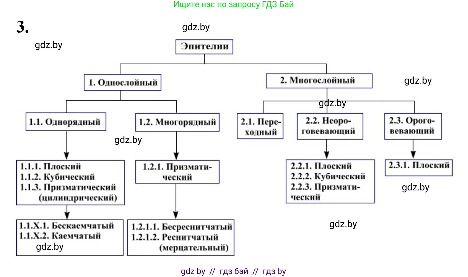 Биология, 9 класс рабочая тетрадь, автор: Лисов Николай Дмитриевич, издательство Аверсэв, Минск, 2021, оранжевого цвета, страница 5, номер 3, Решение