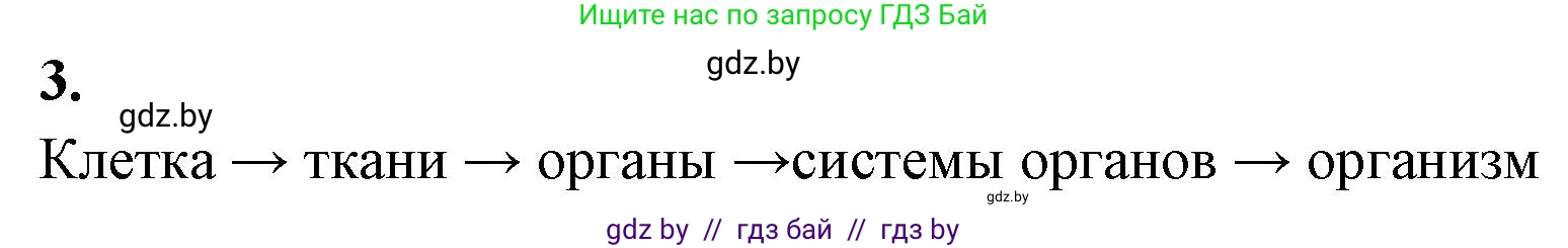 Биология, 9 класс рабочая тетрадь, автор: Лисов Николай Дмитриевич, издательство Аверсэв, Минск, 2021, оранжевого цвета, страница 12, номер 3, Решение