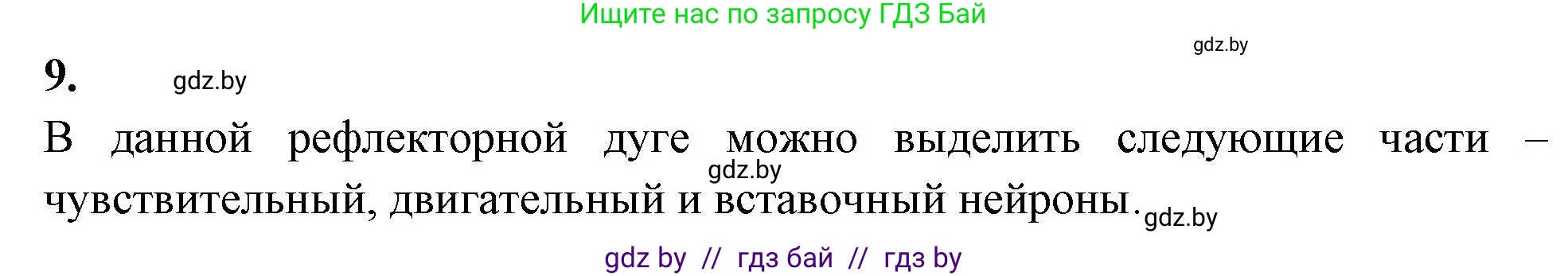 Биология, 9 класс рабочая тетрадь, автор: Лисов Николай Дмитриевич, издательство Аверсэв, Минск, 2021, оранжевого цвета, страница 16, номер 9, Решение