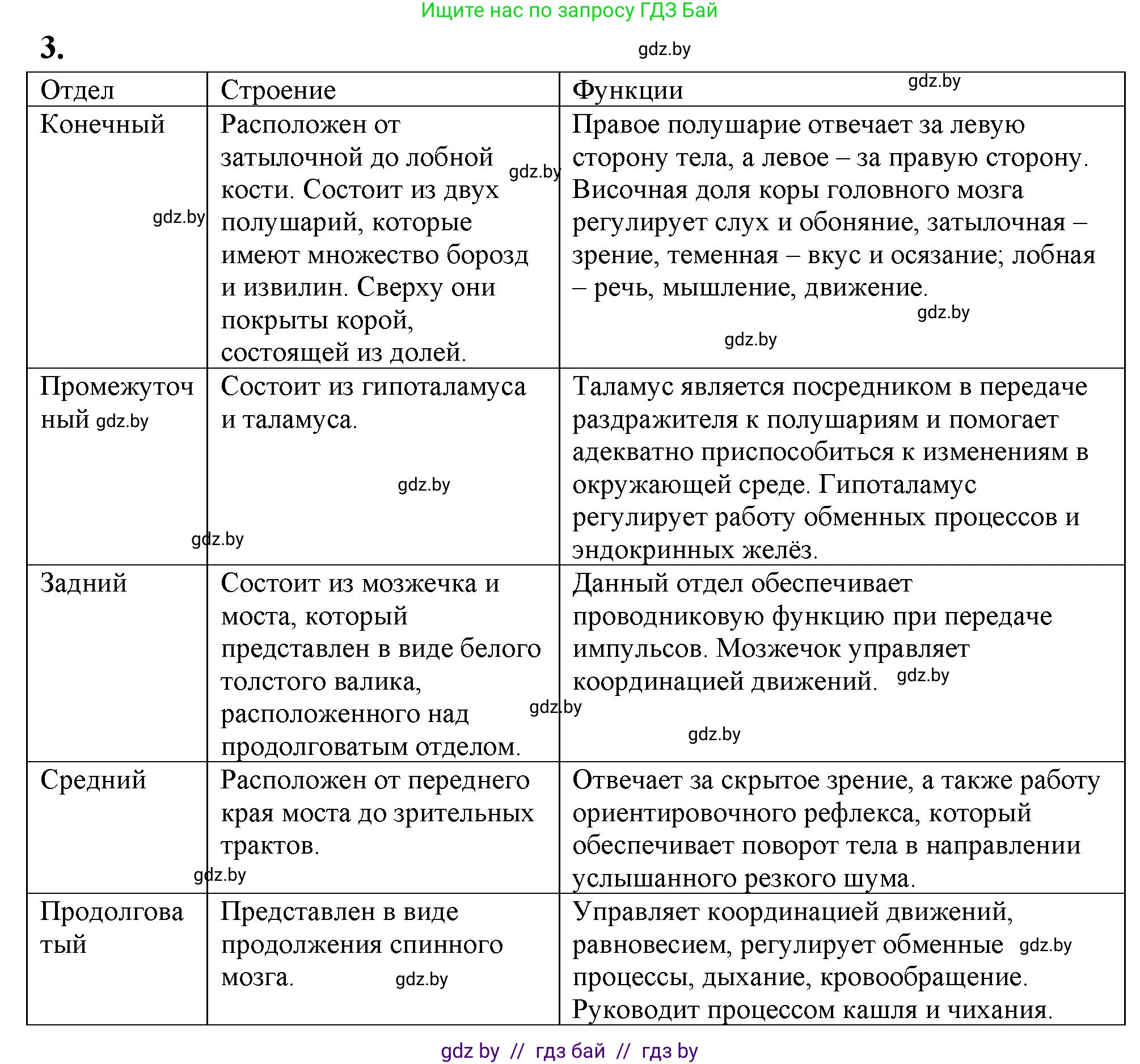 Биология, 9 класс рабочая тетрадь, автор: Лисов Николай Дмитриевич, издательство Аверсэв, Минск, 2021, оранжевого цвета, страница 22, номер 3, Решение