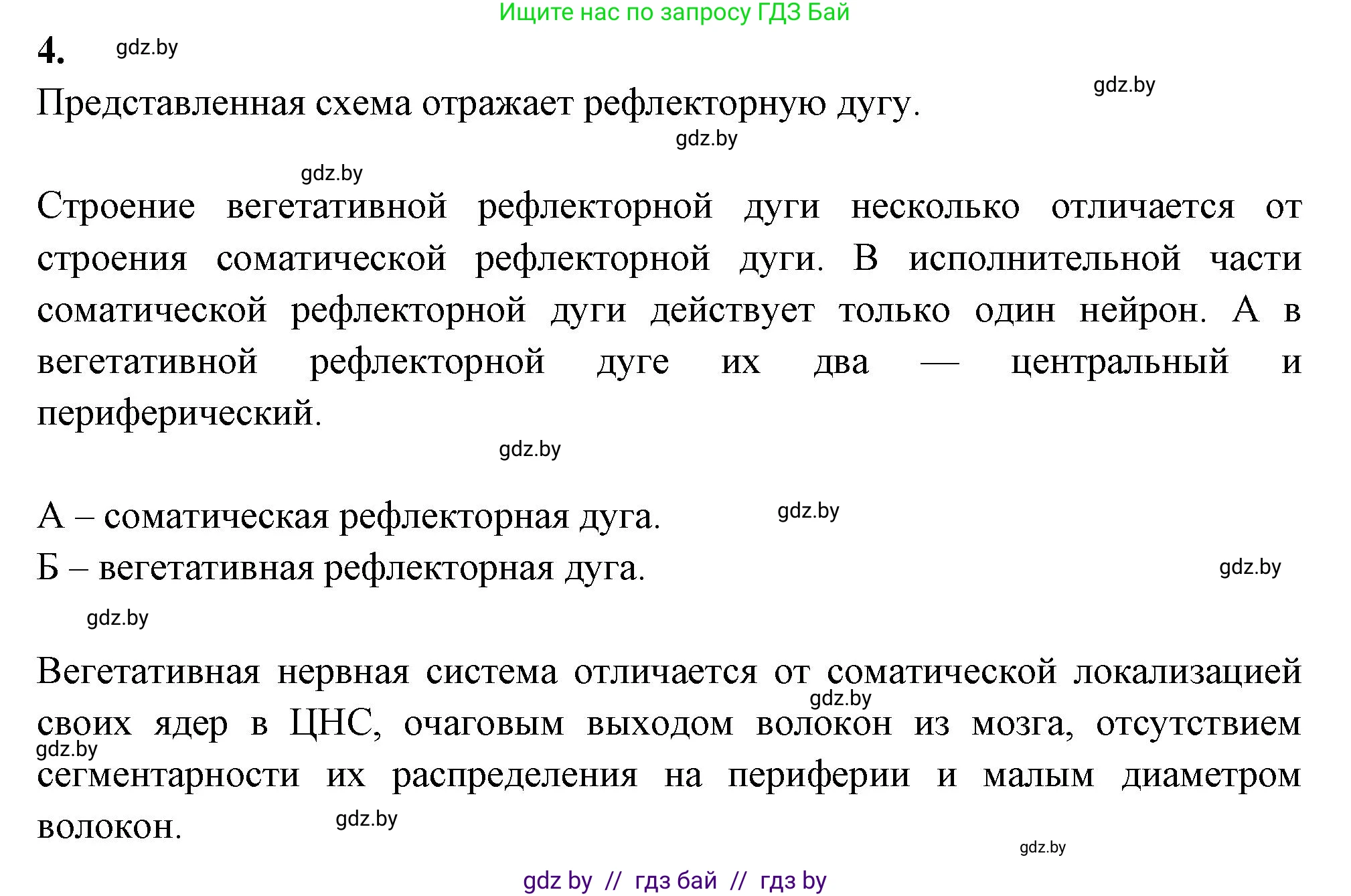 Биология, 9 класс рабочая тетрадь, автор: Лисов Николай Дмитриевич, издательство Аверсэв, Минск, 2021, оранжевого цвета, страница 23, номер 4, Решение