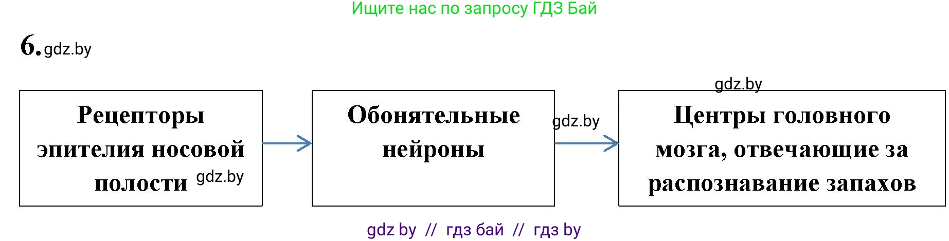 Биология, 9 класс рабочая тетрадь, автор: Лисов Николай Дмитриевич, издательство Аверсэв, Минск, 2021, оранжевого цвета, страница 27, номер 6, Решение