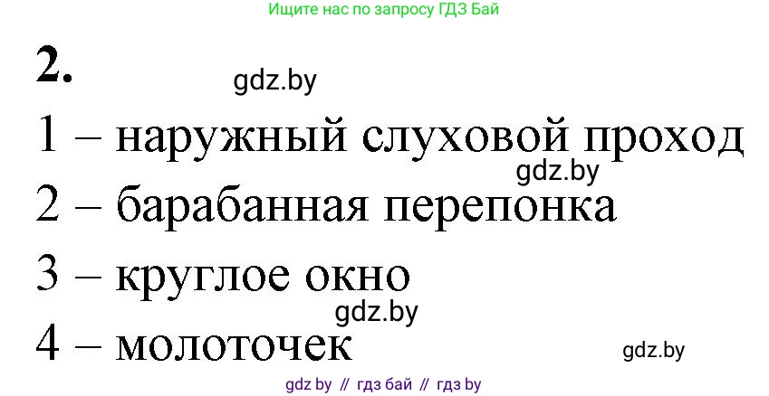 Биология, 9 класс рабочая тетрадь, автор: Лисов Николай Дмитриевич, издательство Аверсэв, Минск, 2021, оранжевого цвета, страница 32, номер 2, Решение