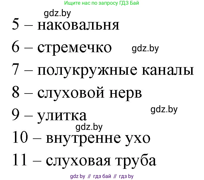 Биология, 9 класс рабочая тетрадь, автор: Лисов Николай Дмитриевич, издательство Аверсэв, Минск, 2021, оранжевого цвета, страница 32, номер 2, Решение (продолжение 2)