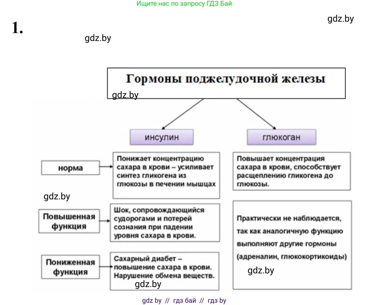 Биология, 9 класс рабочая тетрадь, автор: Лисов Николай Дмитриевич, издательство Аверсэв, Минск, 2021, оранжевого цвета, страница 36, номер 1, Решение