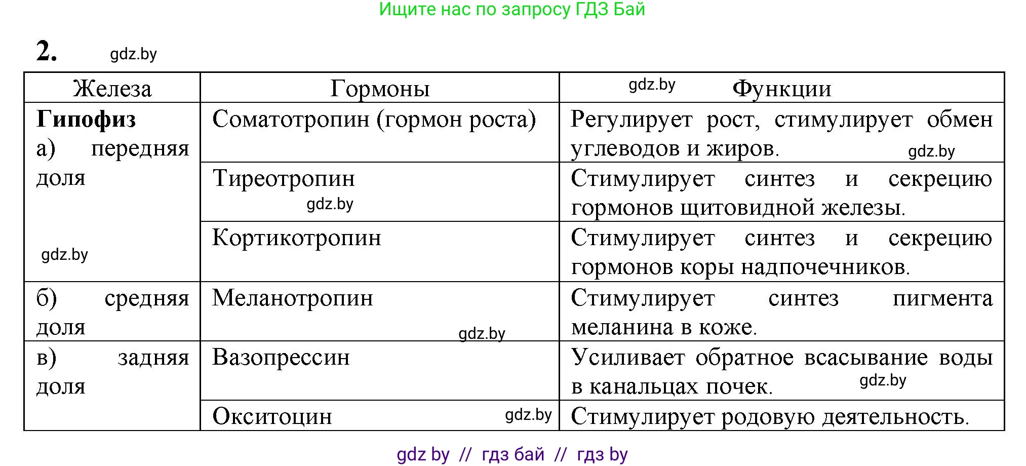 Биология, 9 класс рабочая тетрадь, автор: Лисов Николай Дмитриевич, издательство Аверсэв, Минск, 2021, оранжевого цвета, страница 37, номер 2, Решение