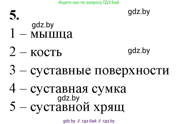Биология, 9 класс рабочая тетрадь, автор: Лисов Николай Дмитриевич, издательство Аверсэв, Минск, 2021, оранжевого цвета, страница 38, номер 5, Решение
