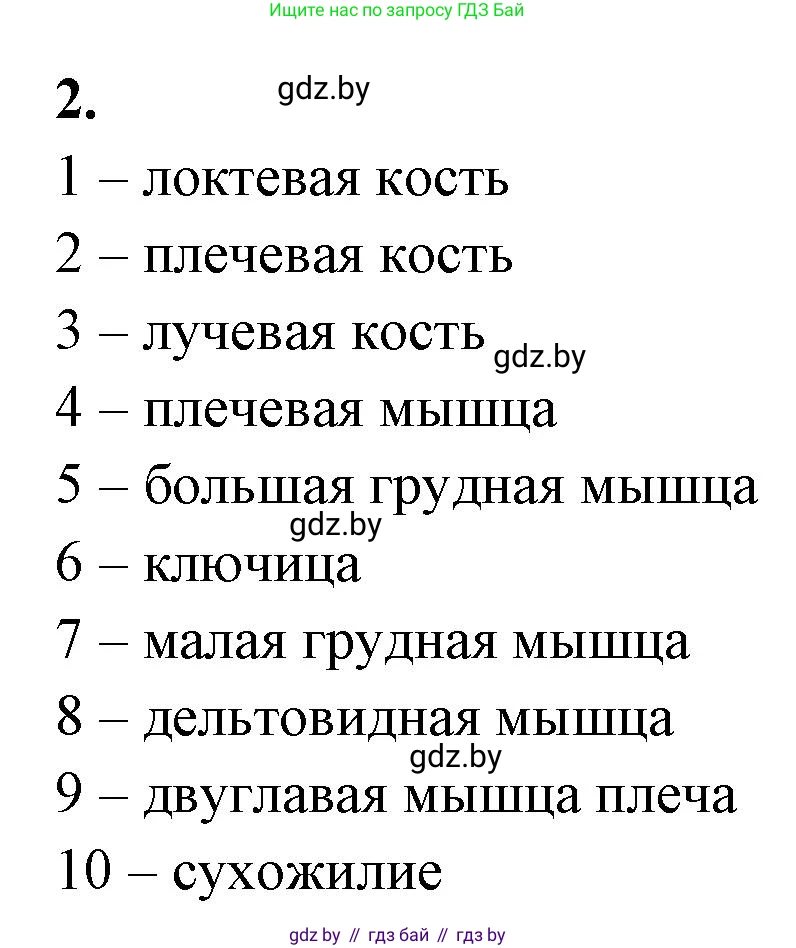 Биология, 9 класс рабочая тетрадь, автор: Лисов Николай Дмитриевич, издательство Аверсэв, Минск, 2021, оранжевого цвета, страница 46, номер 2, Решение