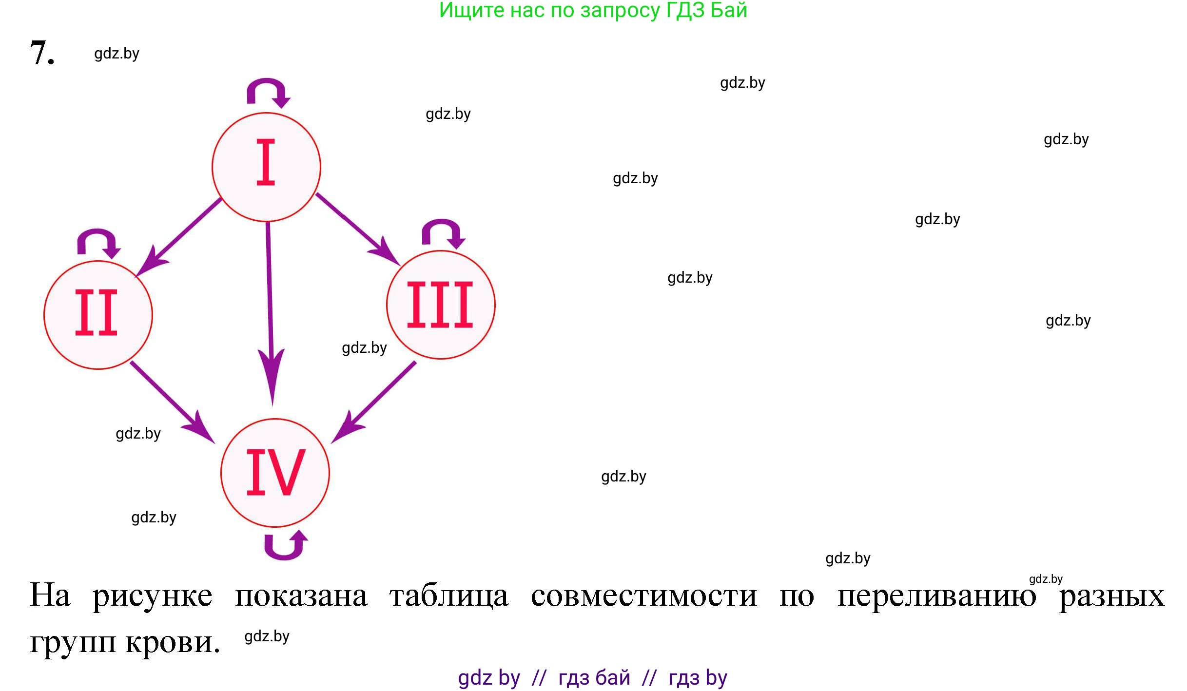 Биология, 9 класс рабочая тетрадь, автор: Лисов Николай Дмитриевич, издательство Аверсэв, Минск, 2021, оранжевого цвета, страница 61, номер 7, Решение