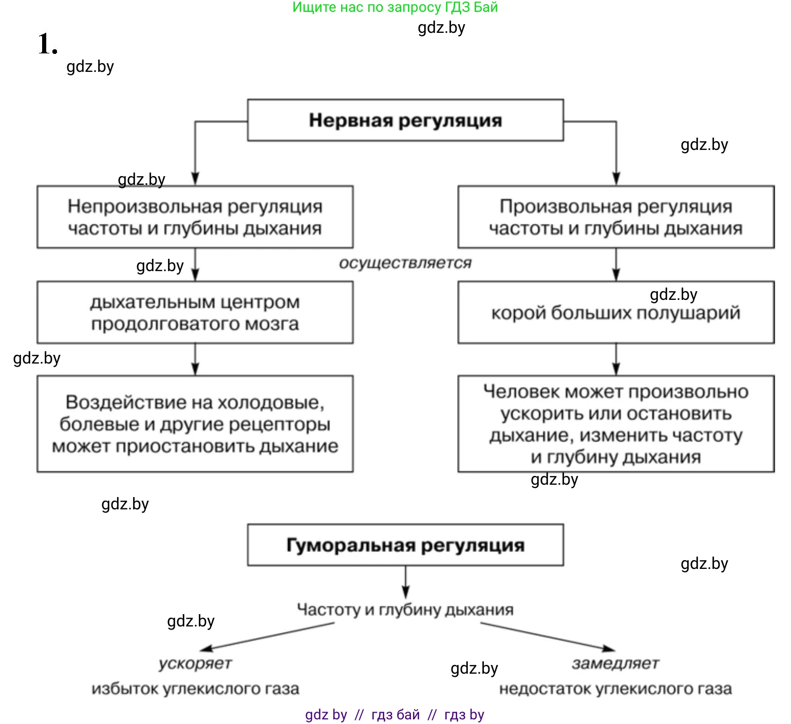 Биология, 9 класс рабочая тетрадь, автор: Лисов Николай Дмитриевич, издательство Аверсэв, Минск, 2021, оранжевого цвета, страница 93, номер 1, Решение