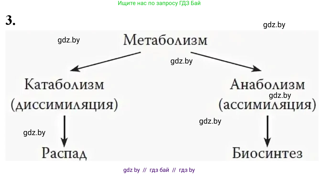 Биология, 9 класс рабочая тетрадь, автор: Лисов Николай Дмитриевич, издательство Аверсэв, Минск, 2021, оранжевого цвета, страница 100, номер 3, Решение