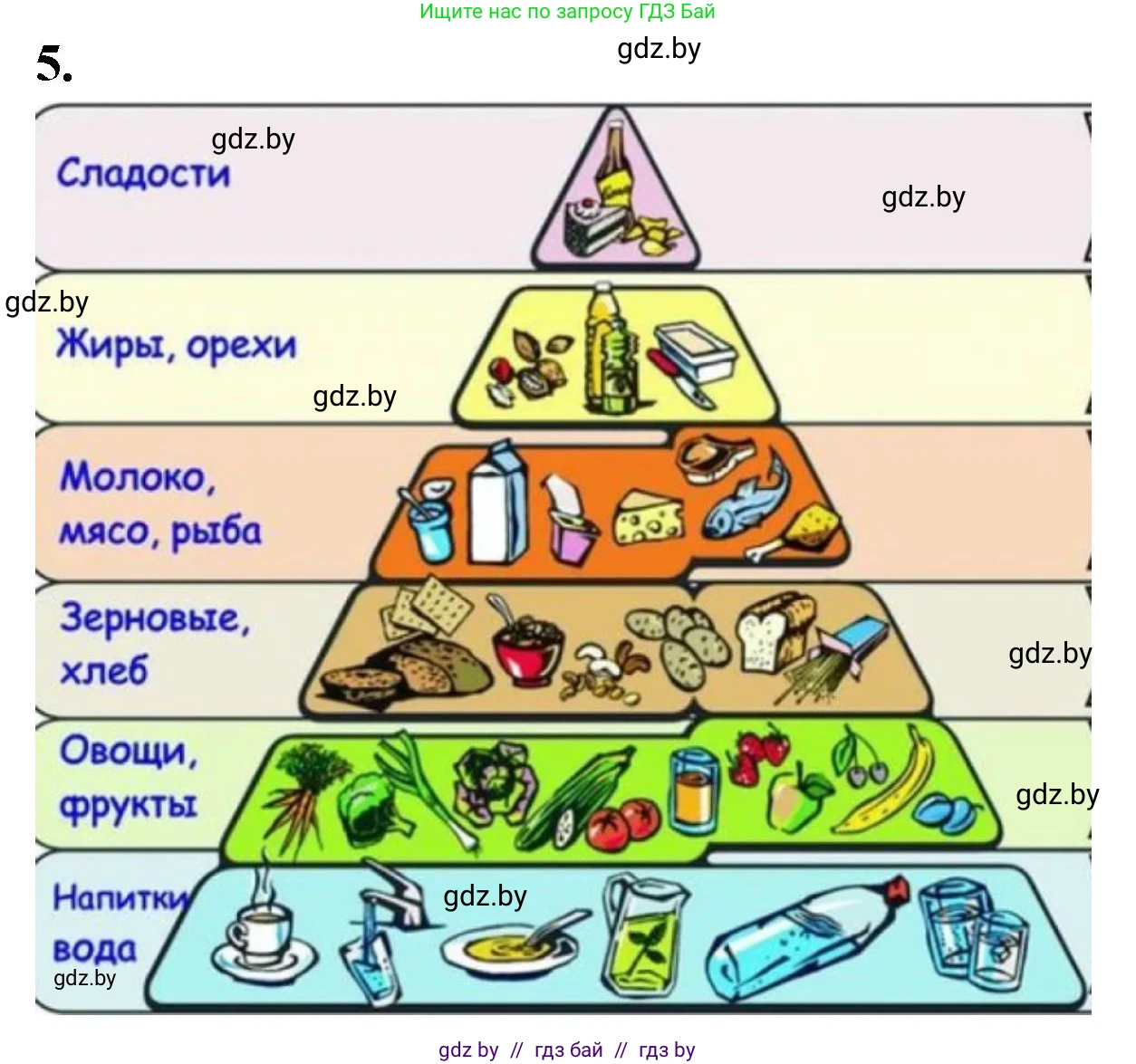 Биология, 9 класс рабочая тетрадь, автор: Лисов Николай Дмитриевич, издательство Аверсэв, Минск, 2021, оранжевого цвета, страница 101, номер 5, Решение