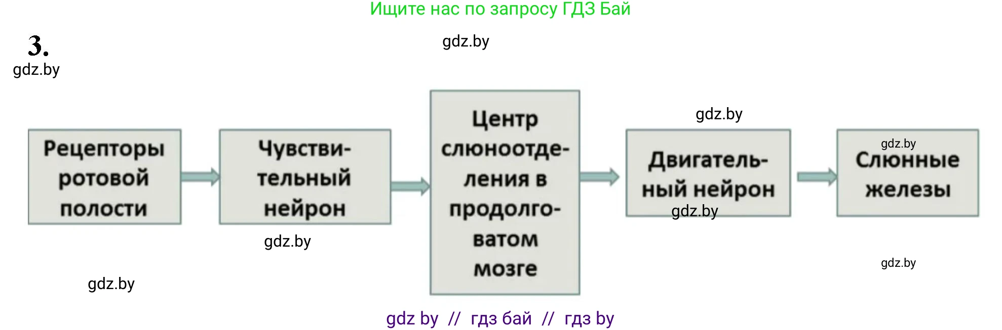Биология, 9 класс рабочая тетрадь, автор: Лисов Николай Дмитриевич, издательство Аверсэв, Минск, 2021, оранжевого цвета, страница 110, номер 3, Решение