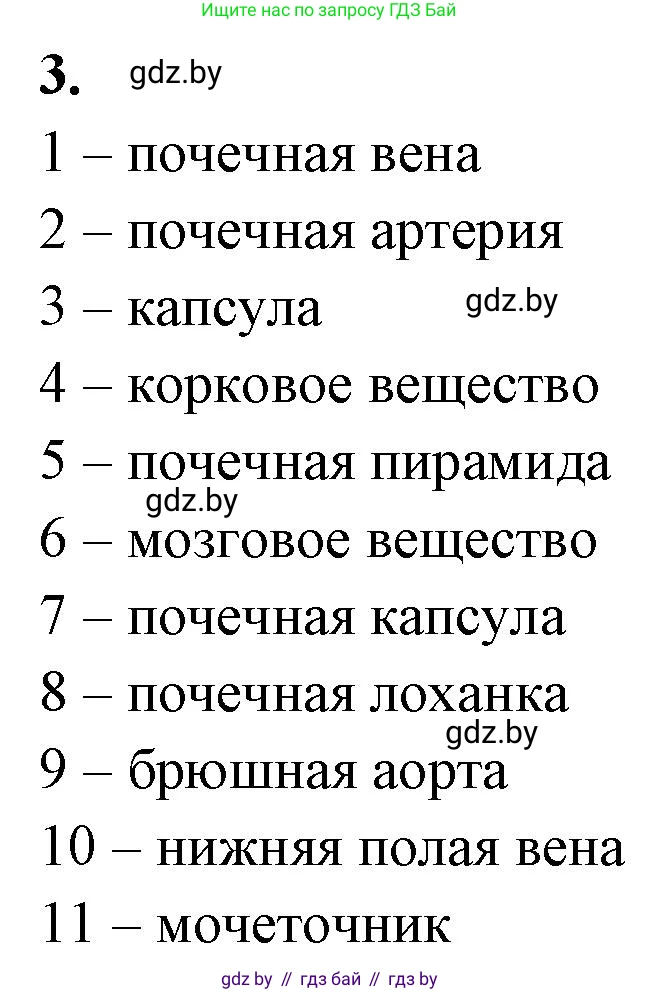 Биология, 9 класс рабочая тетрадь, автор: Лисов Николай Дмитриевич, издательство Аверсэв, Минск, 2021, оранжевого цвета, страница 112, номер 3, Решение