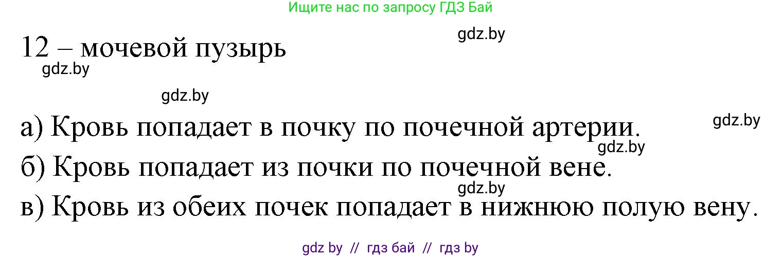 Биология, 9 класс рабочая тетрадь, автор: Лисов Николай Дмитриевич, издательство Аверсэв, Минск, 2021, оранжевого цвета, страница 112, номер 3, Решение (продолжение 2)
