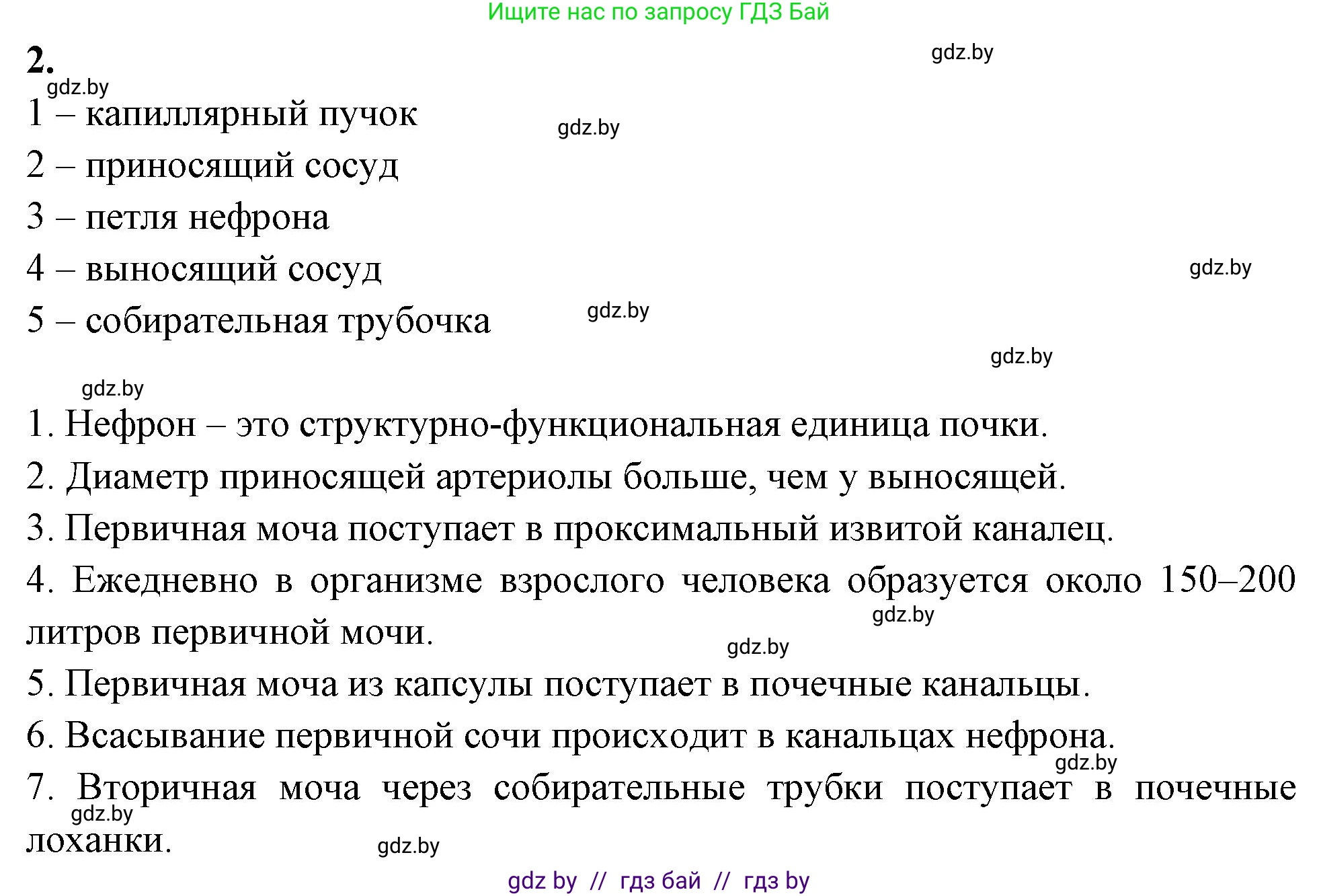 Биология, 9 класс рабочая тетрадь, автор: Лисов Николай Дмитриевич, издательство Аверсэв, Минск, 2021, оранжевого цвета, страница 113, номер 2, Решение