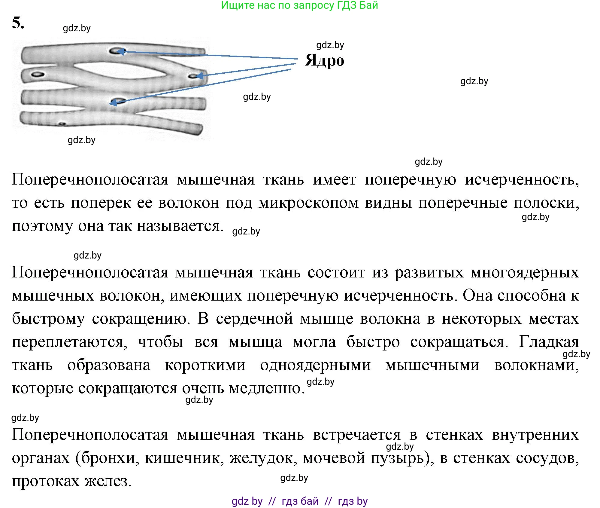 Биология, 9 класс рабочая тетрадь, автор: Лисов Николай Дмитриевич, издательство Аверсэв, Минск, 2021, оранжевого цвета, страница 10, номер 5, Решение