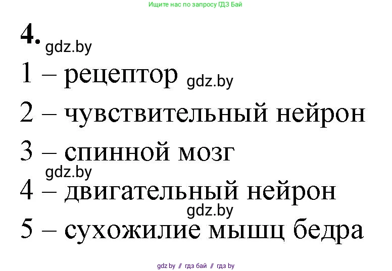 Биология, 9 класс тетрадь для демонстрационных опытов, лабораторных и практических работ, автор: Рогожников Олег Николаевич, издательство Сэр-Вит, Минск, 2023, оранжевого цвета, страница 9, номер 4, Решение
