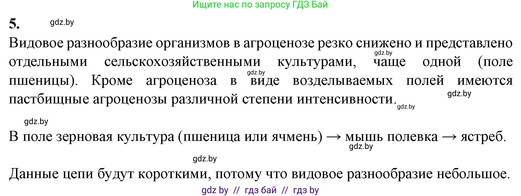 Биология, 10 класс Тетрадь для лабораторных и практических работ, автор: Хруцкая Тамара Викторовна, издательство Аверсэв, Минск, 2022, зелёного цвета, страница 42, номер 5, Решение