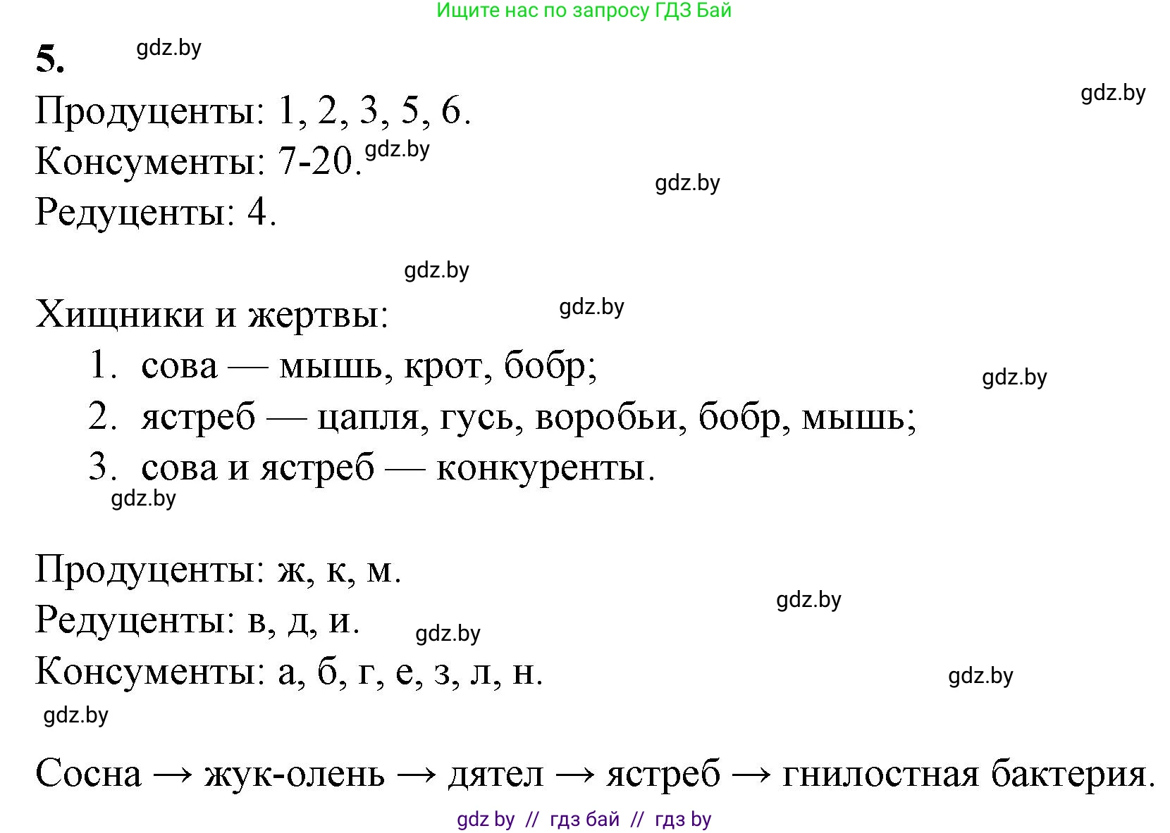 Биология, 10 класс Тетрадь для лабораторных и практических работ, автор: Хруцкая Тамара Викторовна, издательство Аверсэв, Минск, 2022, зелёного цвета, страница 24, номер 5, Решение