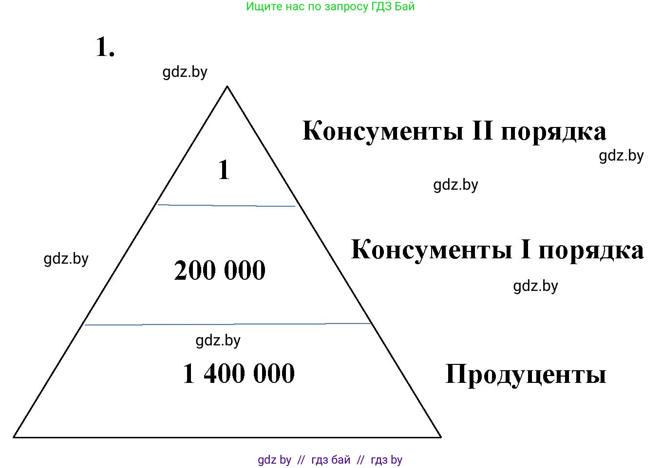 Биология, 10 класс Тетрадь для лабораторных и практических работ, автор: Хруцкая Тамара Викторовна, издательство Аверсэв, Минск, 2022, зелёного цвета, страница 29, номер 1, Решение