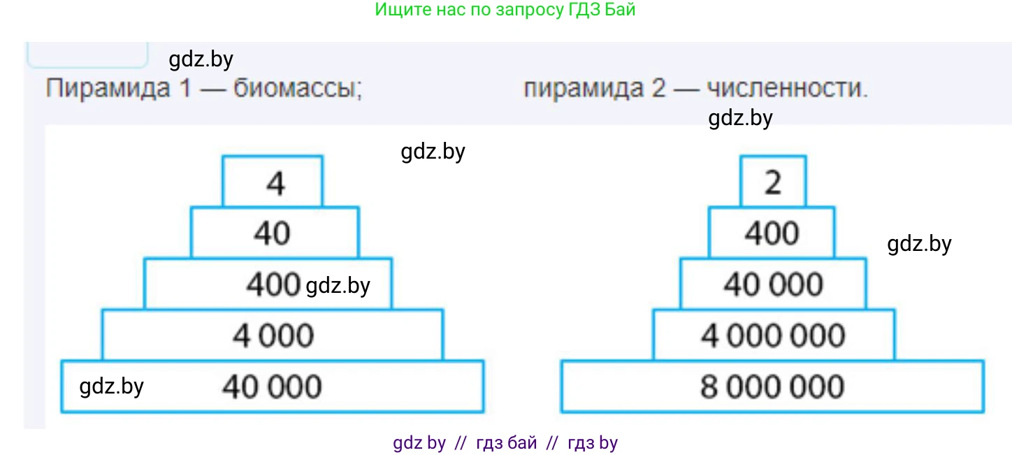 Биология, 10 класс Тетрадь для лабораторных и практических работ, автор: Хруцкая Тамара Викторовна, издательство Аверсэв, Минск, 2022, зелёного цвета, страница 30, номер 2, Решение