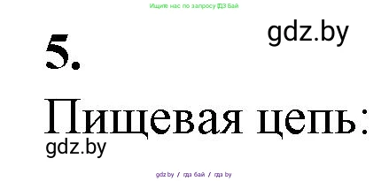 Биология, 10 класс Тетрадь для лабораторных и практических работ, автор: Хруцкая Тамара Викторовна, издательство Аверсэв, Минск, 2022, зелёного цвета, страница 31, номер 5, Решение